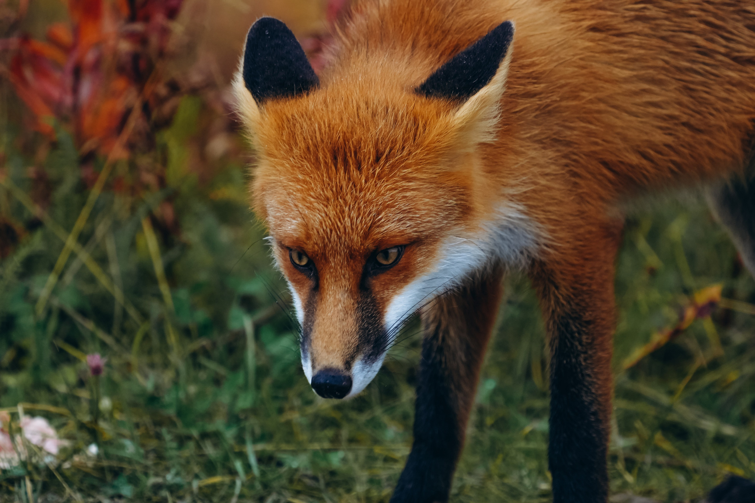 СЕВЕР. Event фотограф Степанова Александра