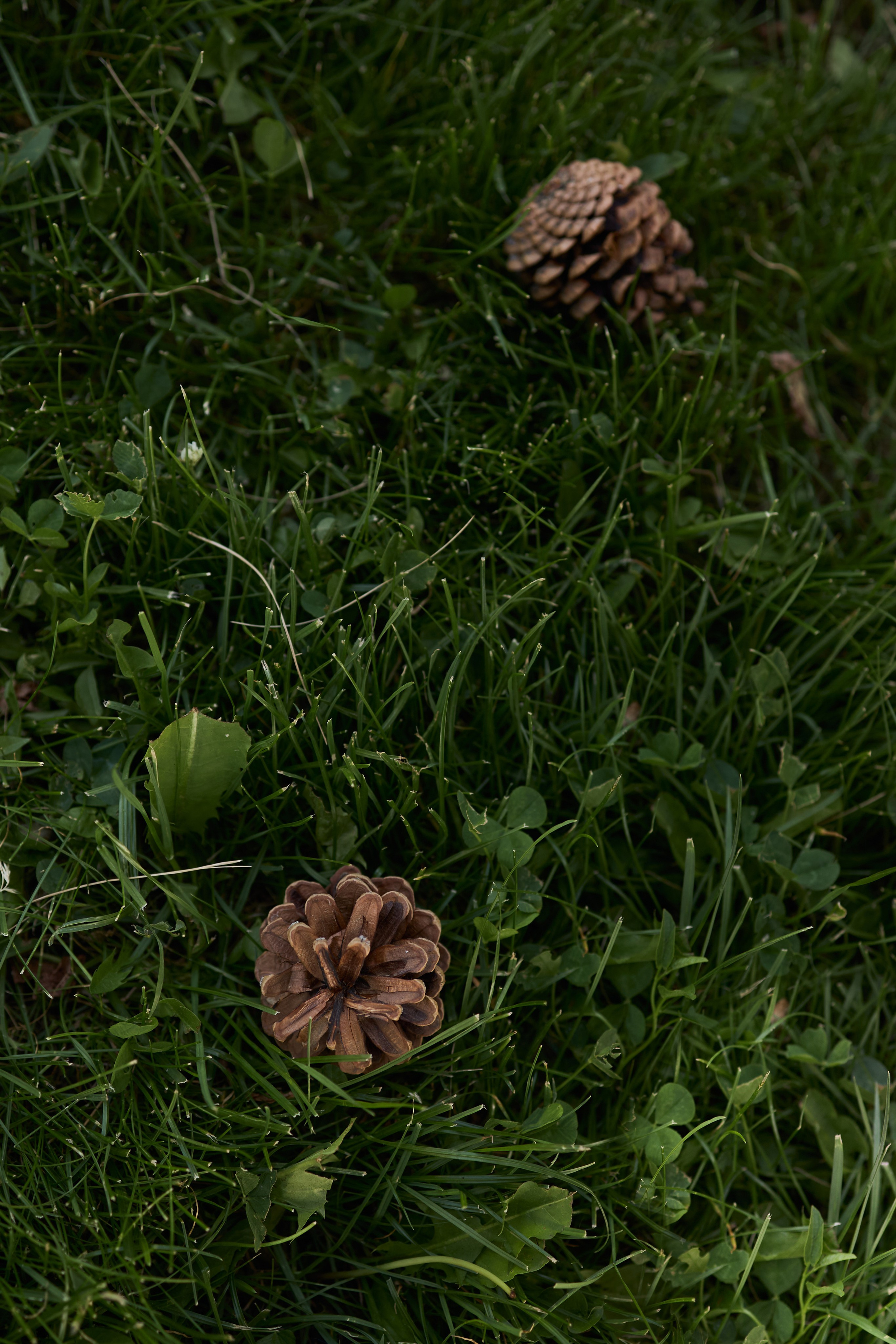 Семейная фотосессия Краснодар