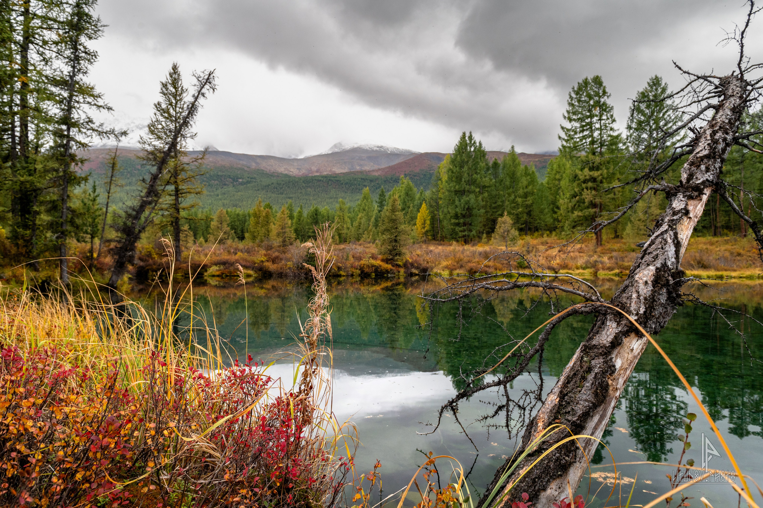Алтай. Пейзажи. Спортивный и репортажный фотограф Дмитрий Литунов Москва