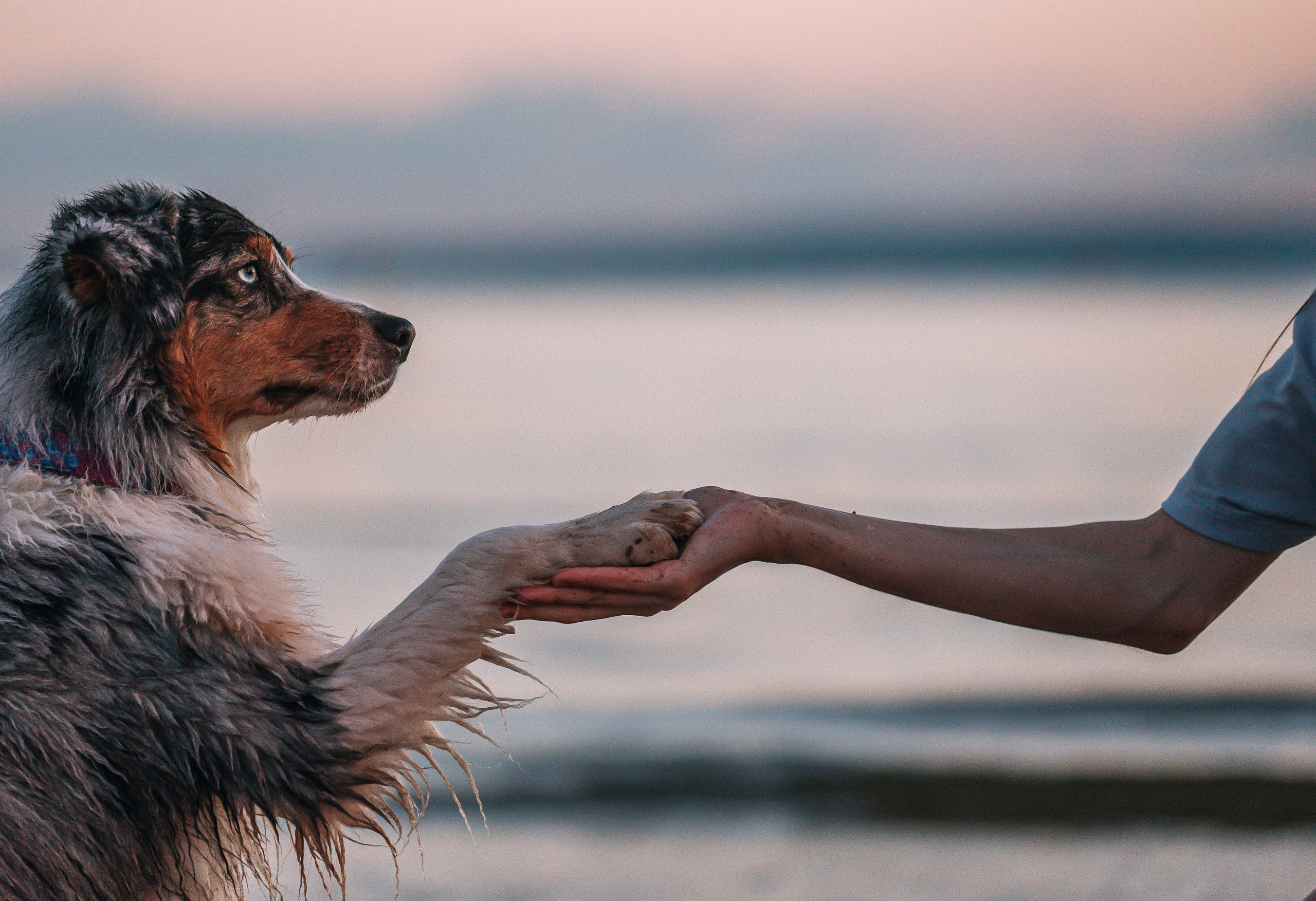 No Bad Days. Главная