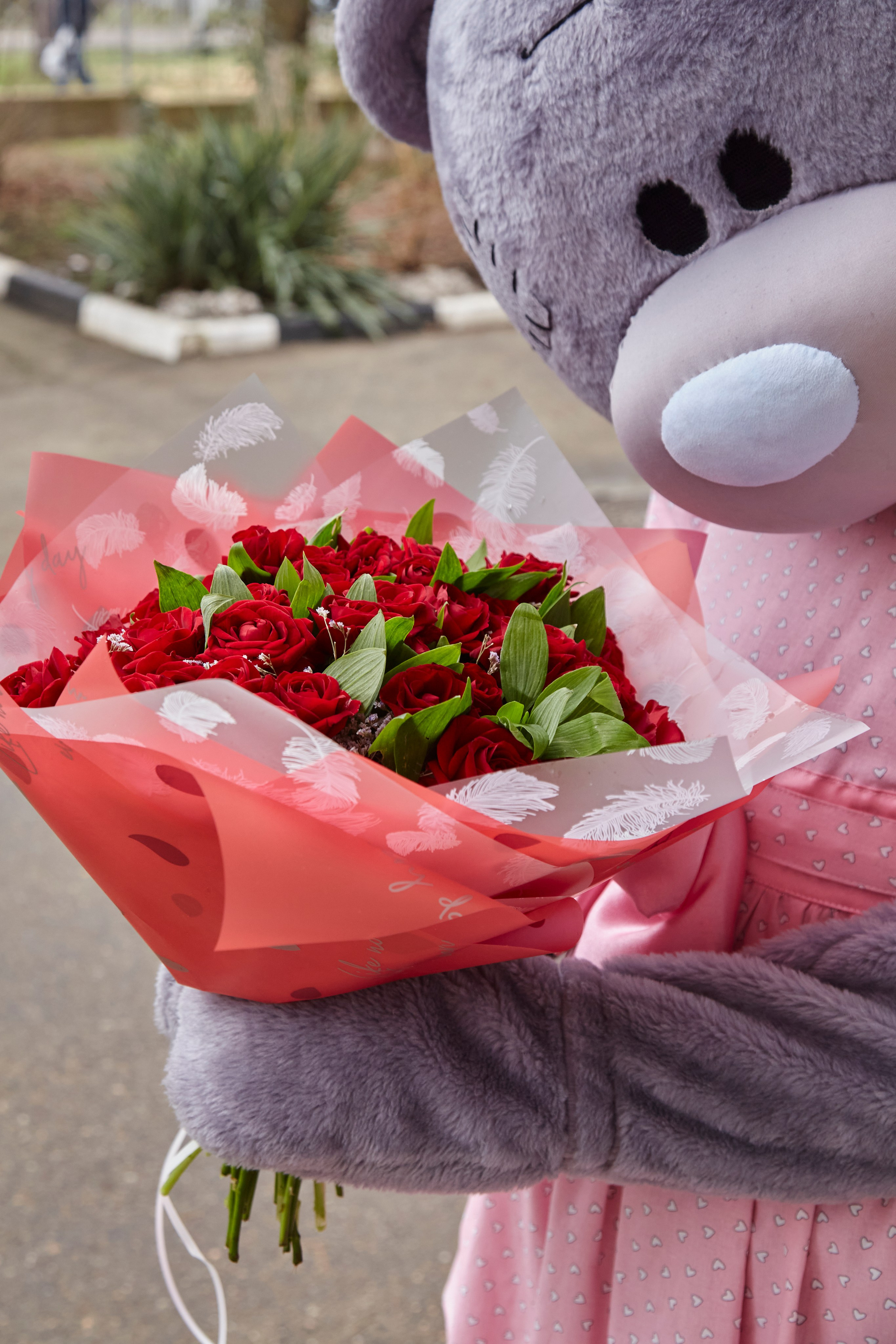 МИШКА ТЕДДИ. Свадебный и семейный фотограф/видеограф в Краснодаре Наталья Осинская