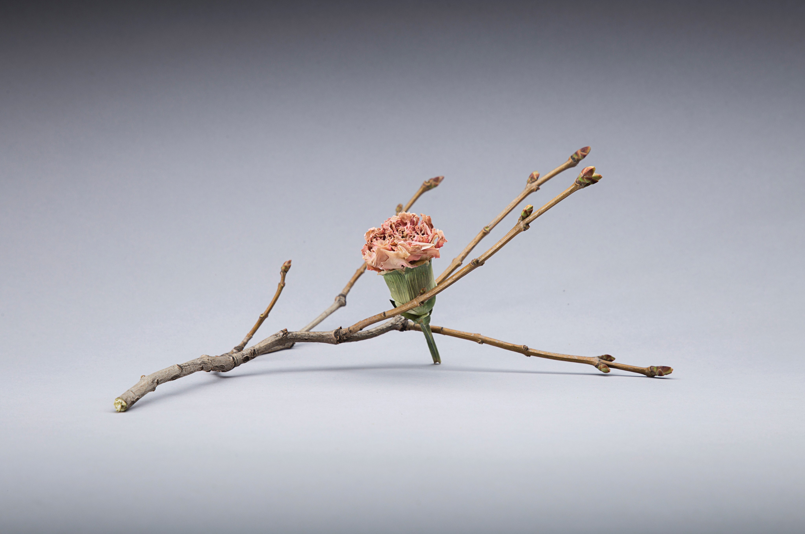 Wood recycling project. Andrew Valmus