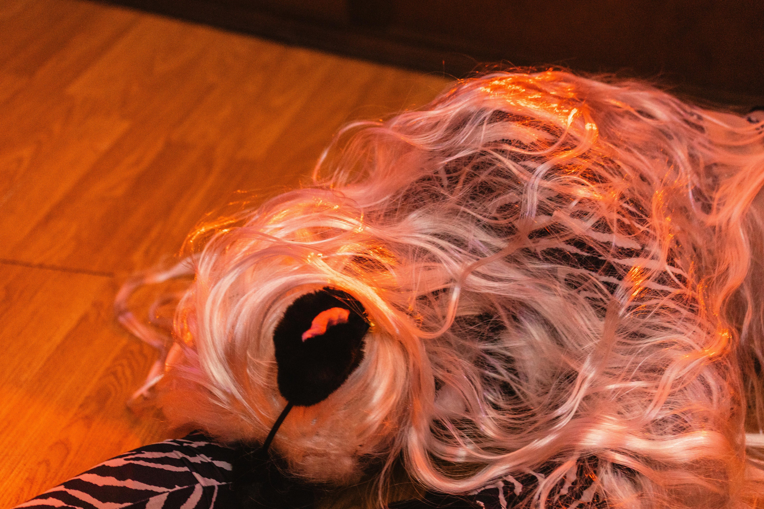 Студвесна 2025 — 50/50. KiPPER Gallery — Фотограф