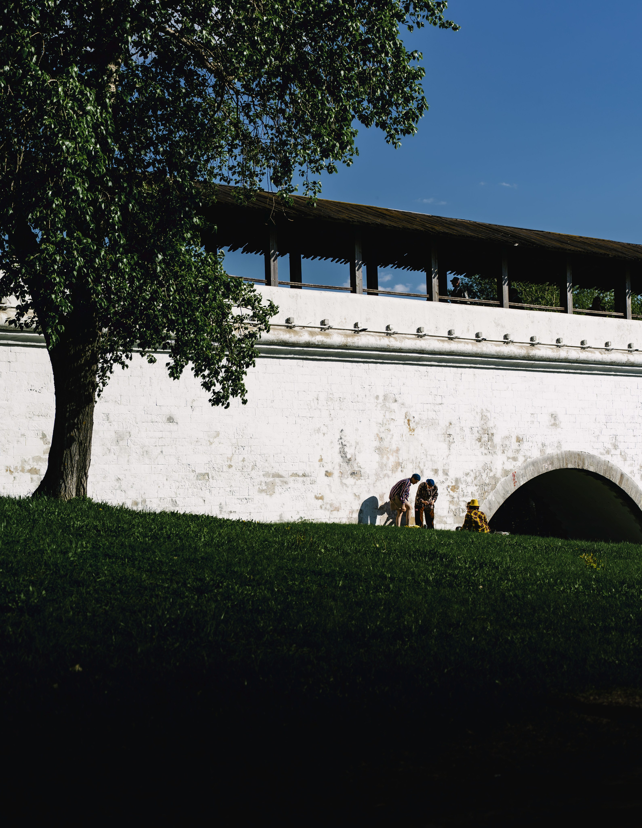 Жизнь в цветах. Алексей Гаас — фотограф