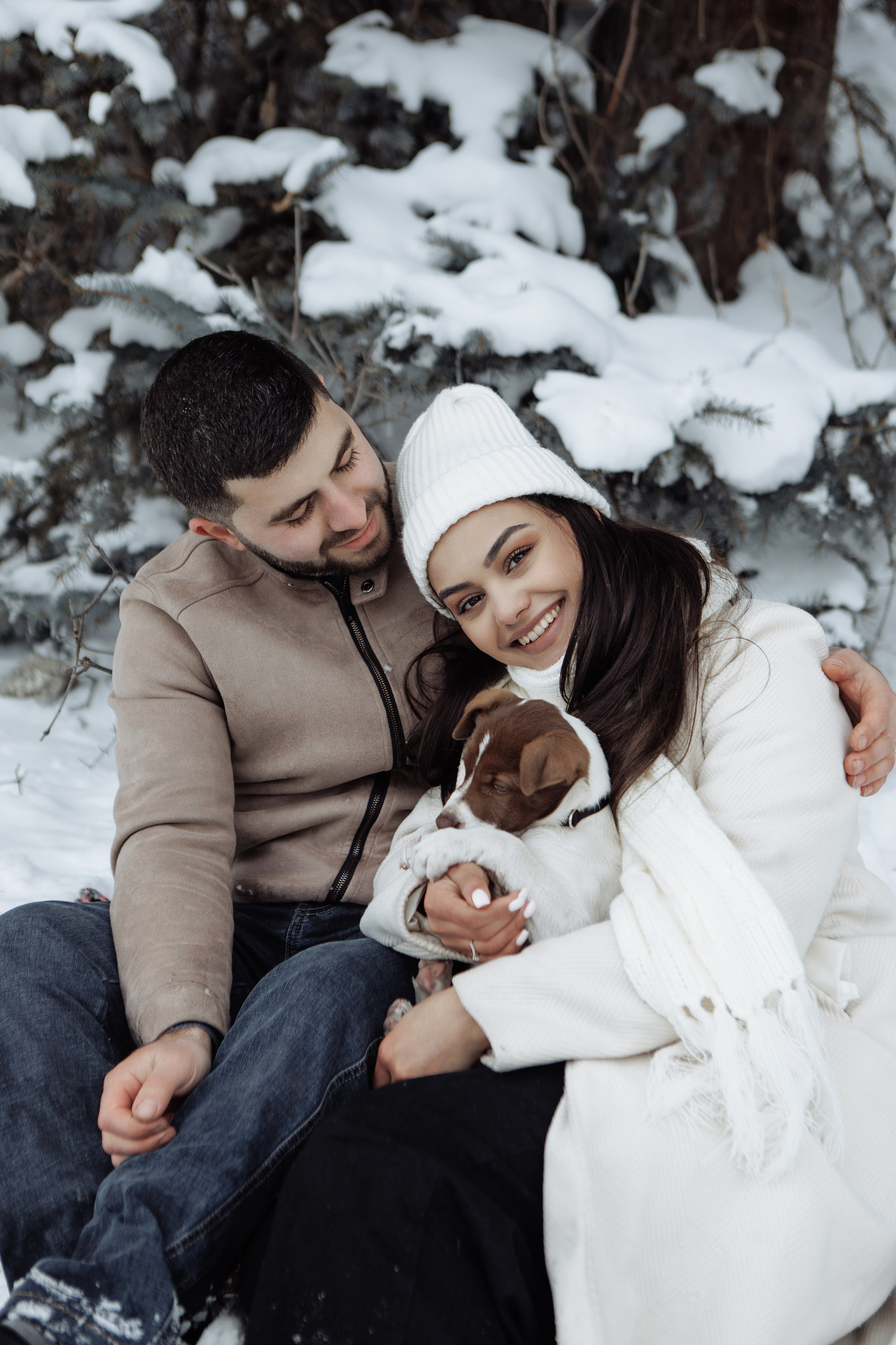 Снежинки. Գլխավոր