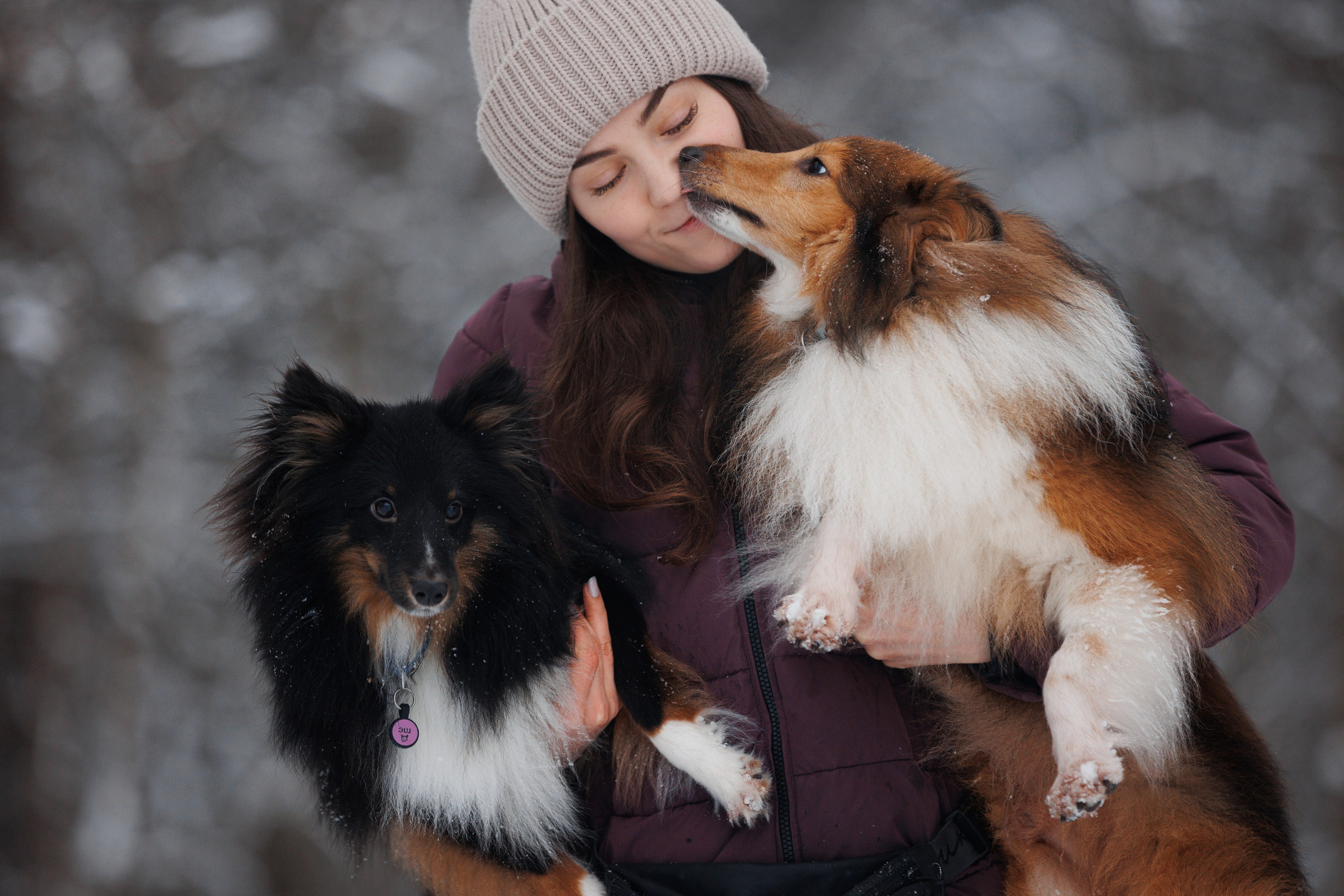 Даша и компания. Фотограф анималист Кристина Карпова, Москва