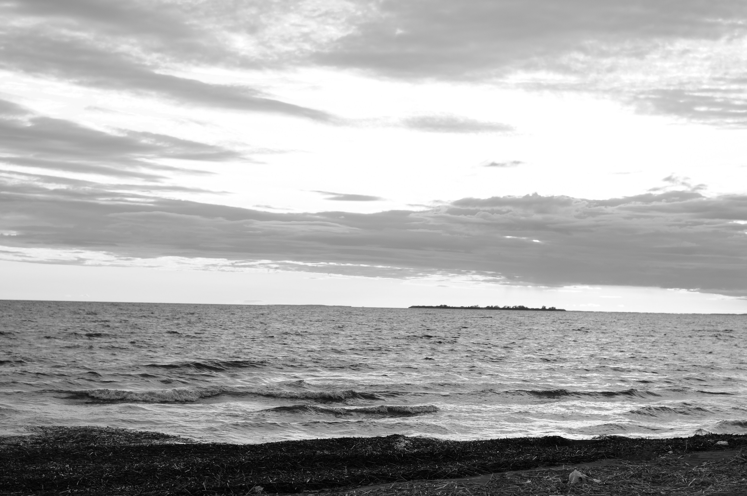 Новая история новорожденный