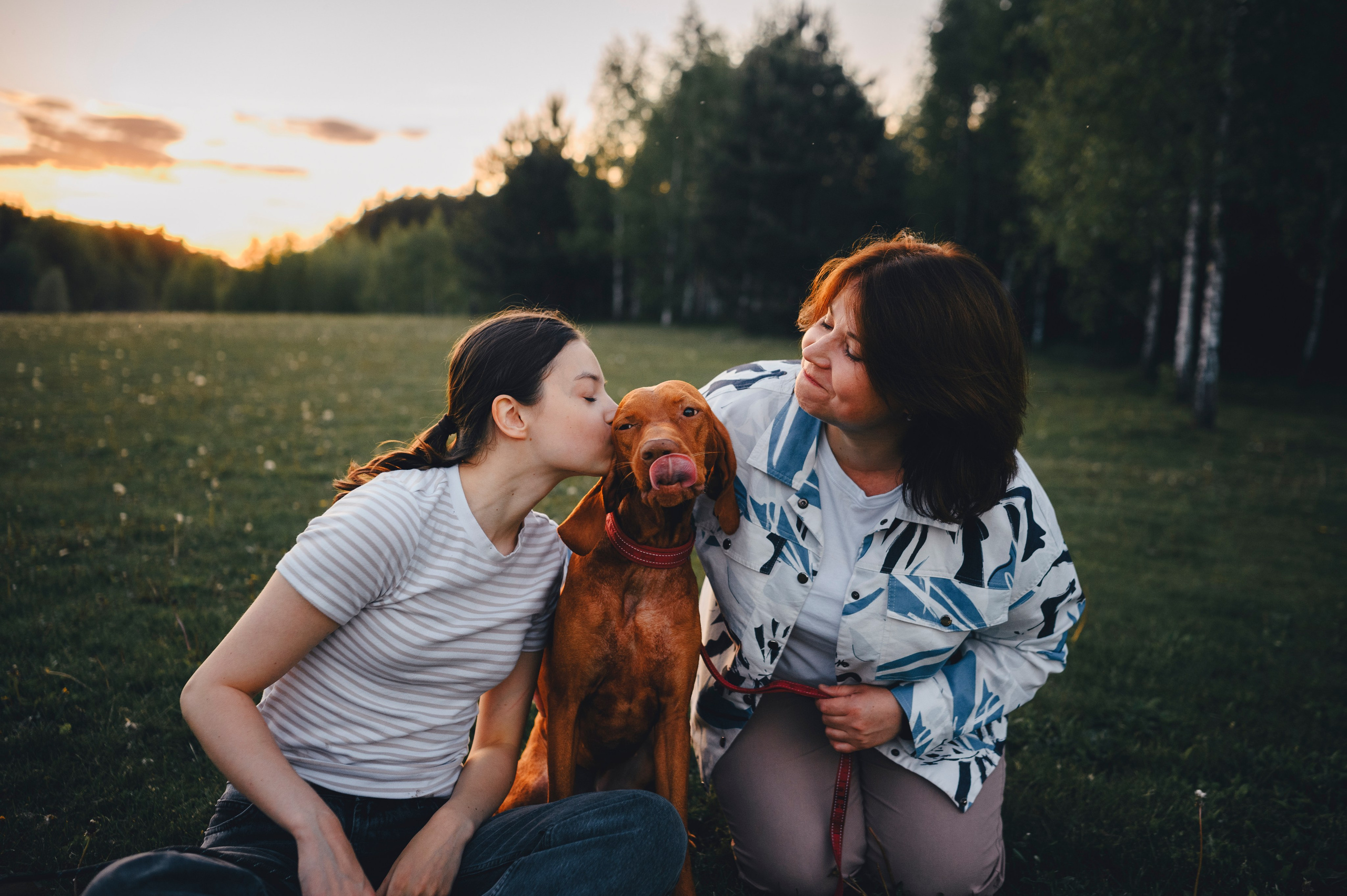 Юля, Никс и Чайф. Семейный фотограф анималист Ананьева Мария — Москва