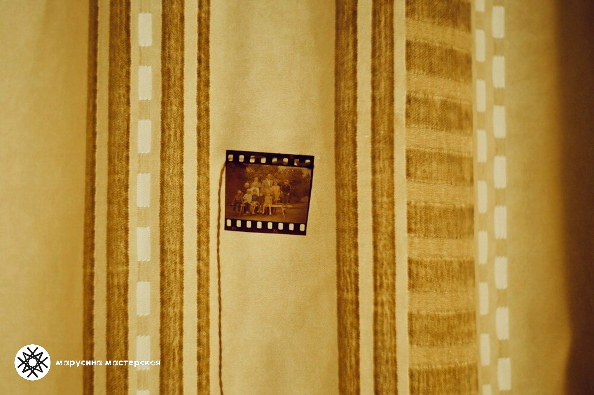 Елена Зайлер