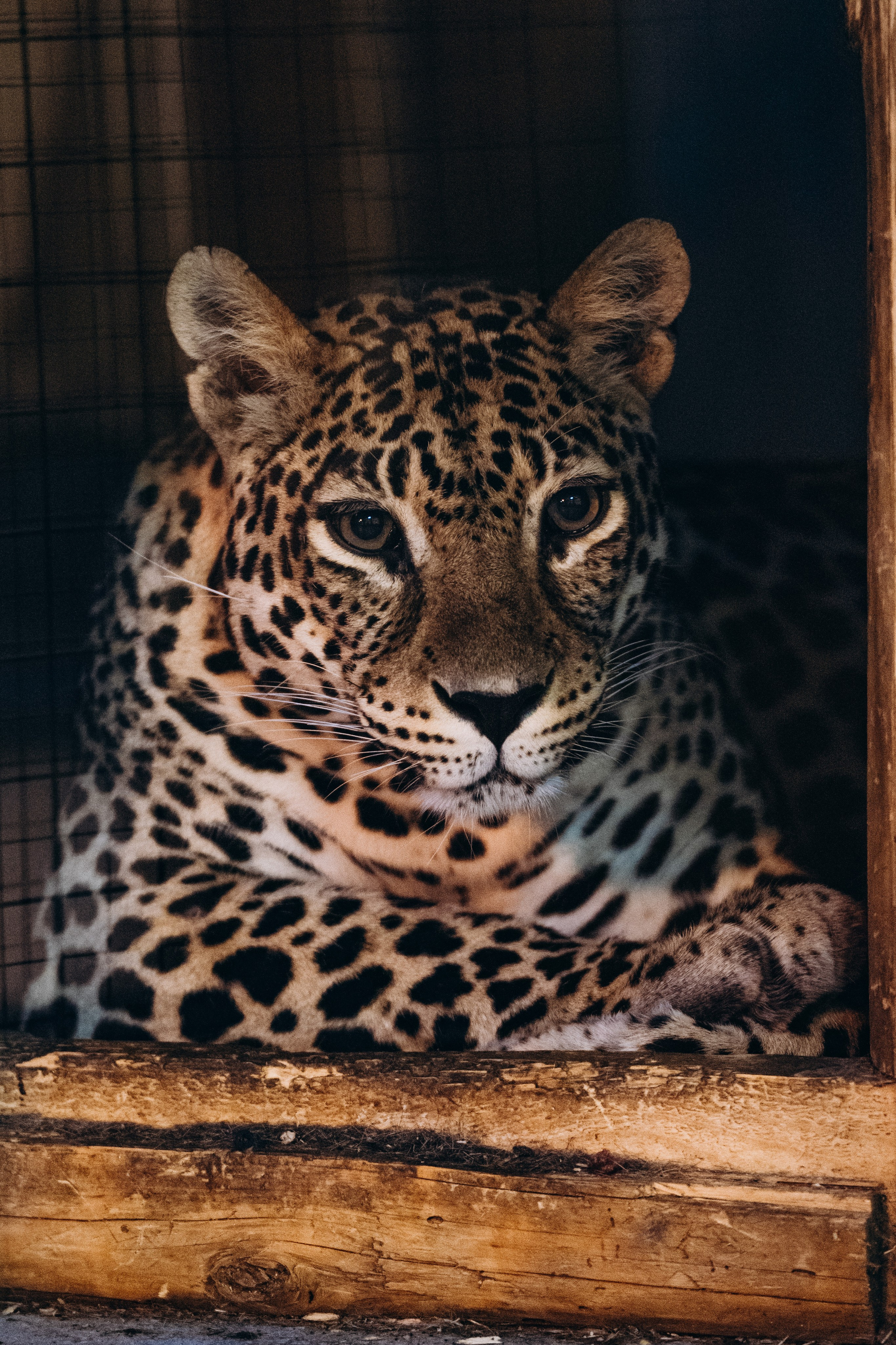 СЕВЕР. Event фотограф Степанова Александра