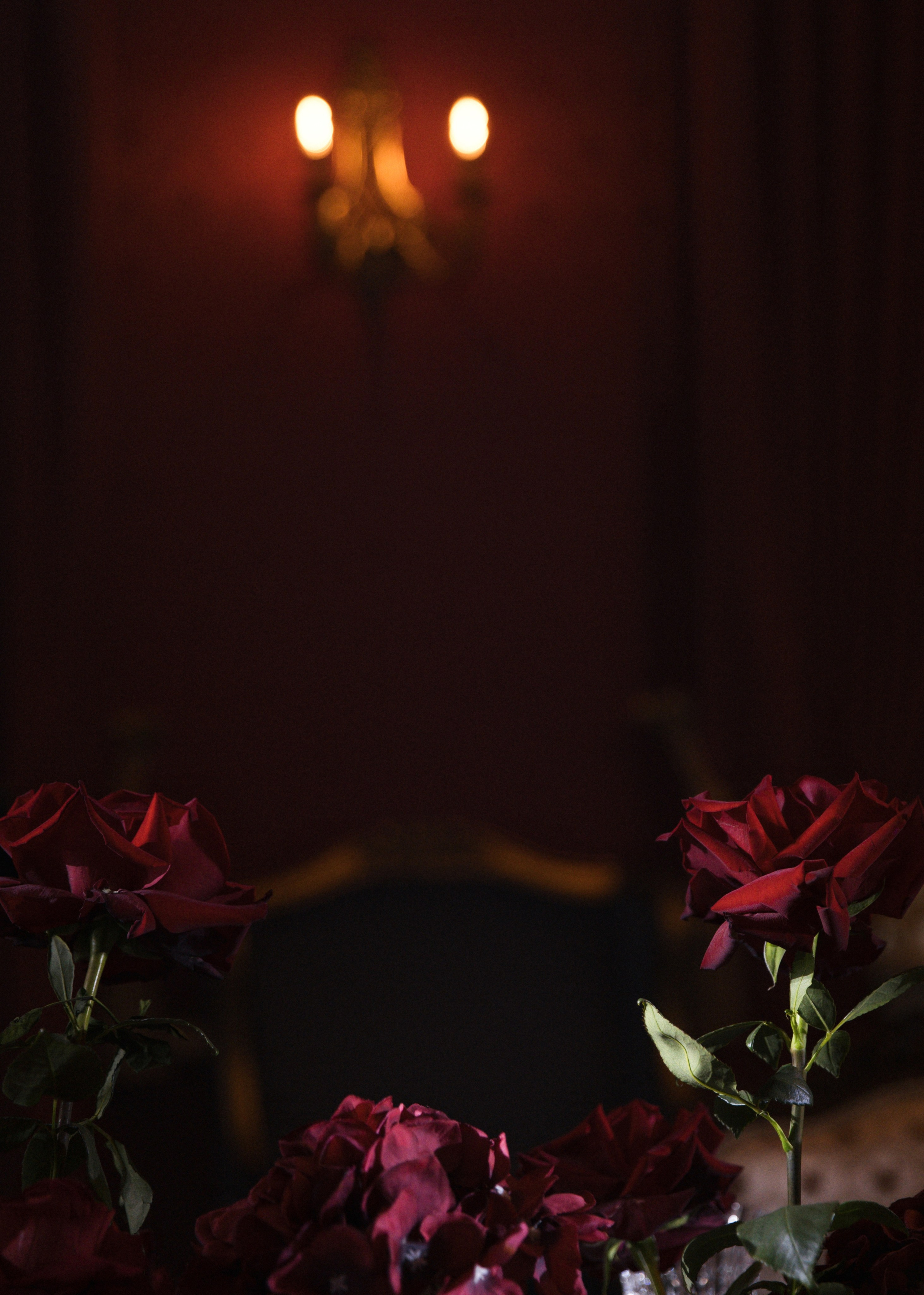 Моменты, которые мы запомним. Фотограф Вышний Волочек/Тверь/Москва/Санкт-Петербург