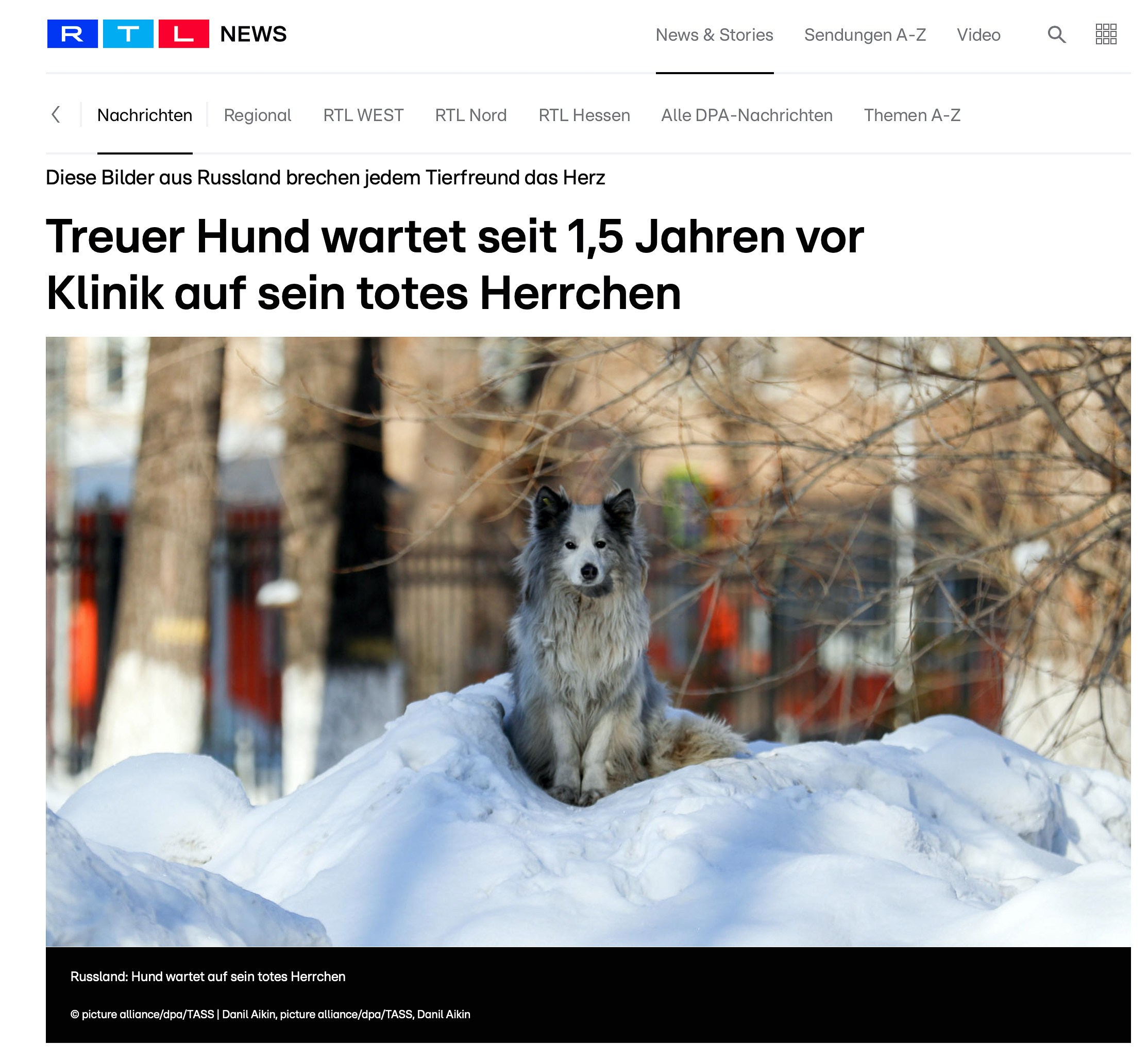 Publications. Photographer Danil Aykin