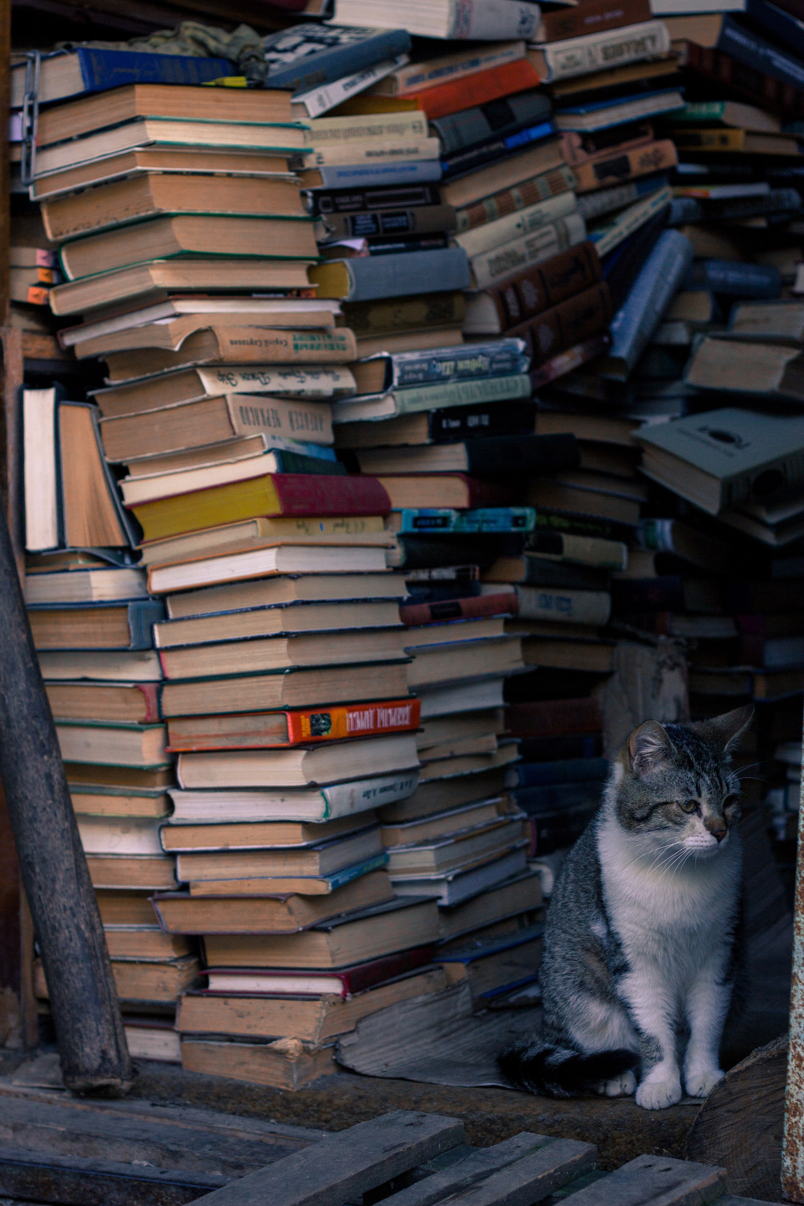 ART. Фотограф Анна Апрельская Москва| Moscow Anna Aprelskaya Photographer