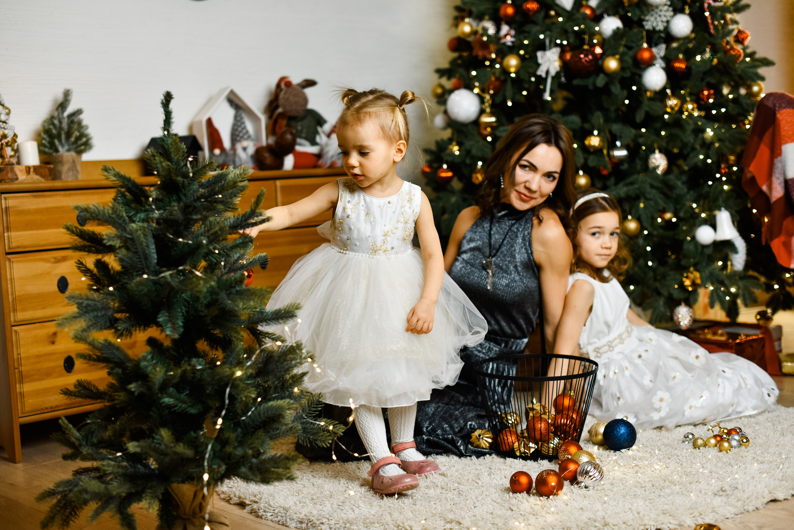 Семья Анечки