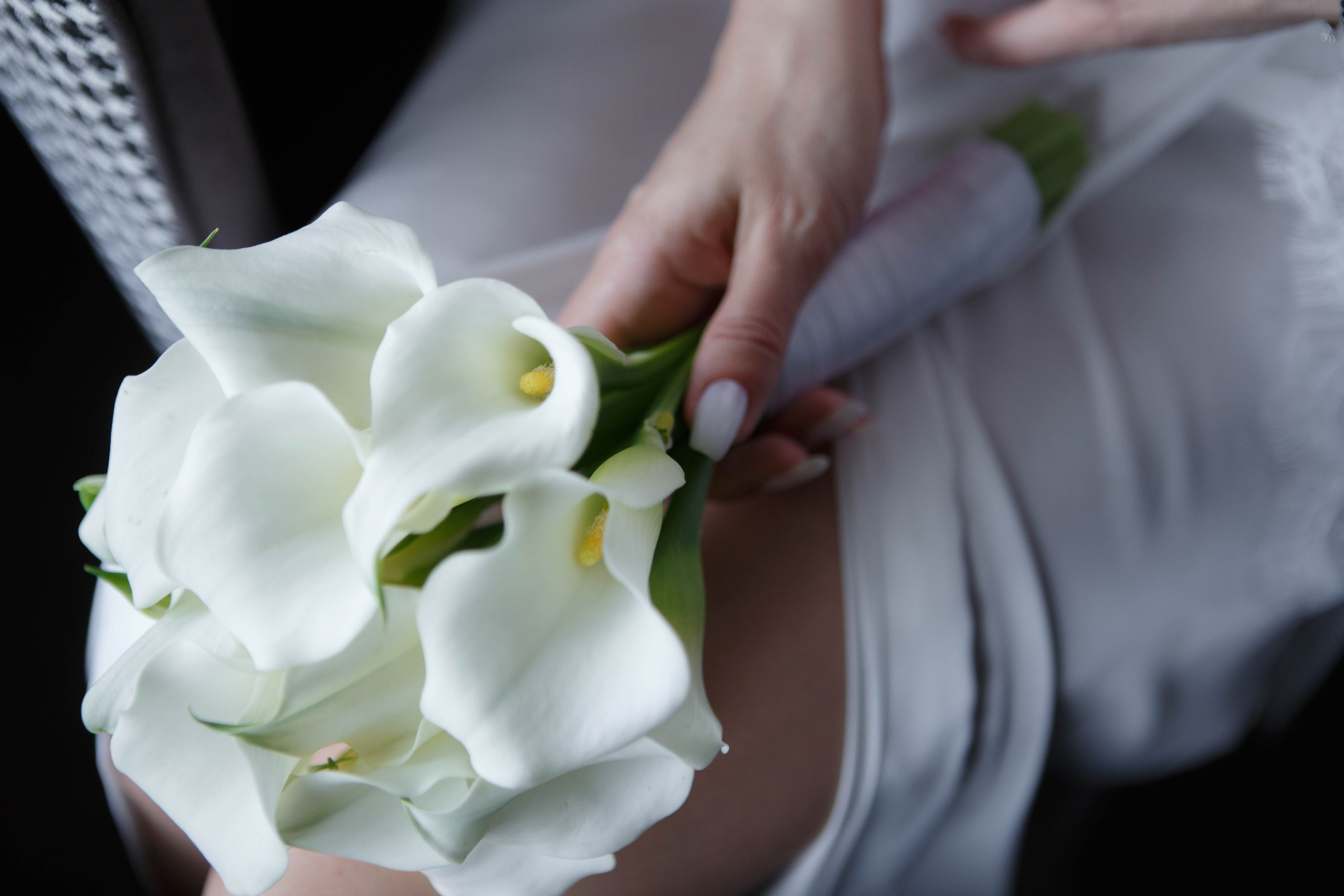 Алексей & Лариса