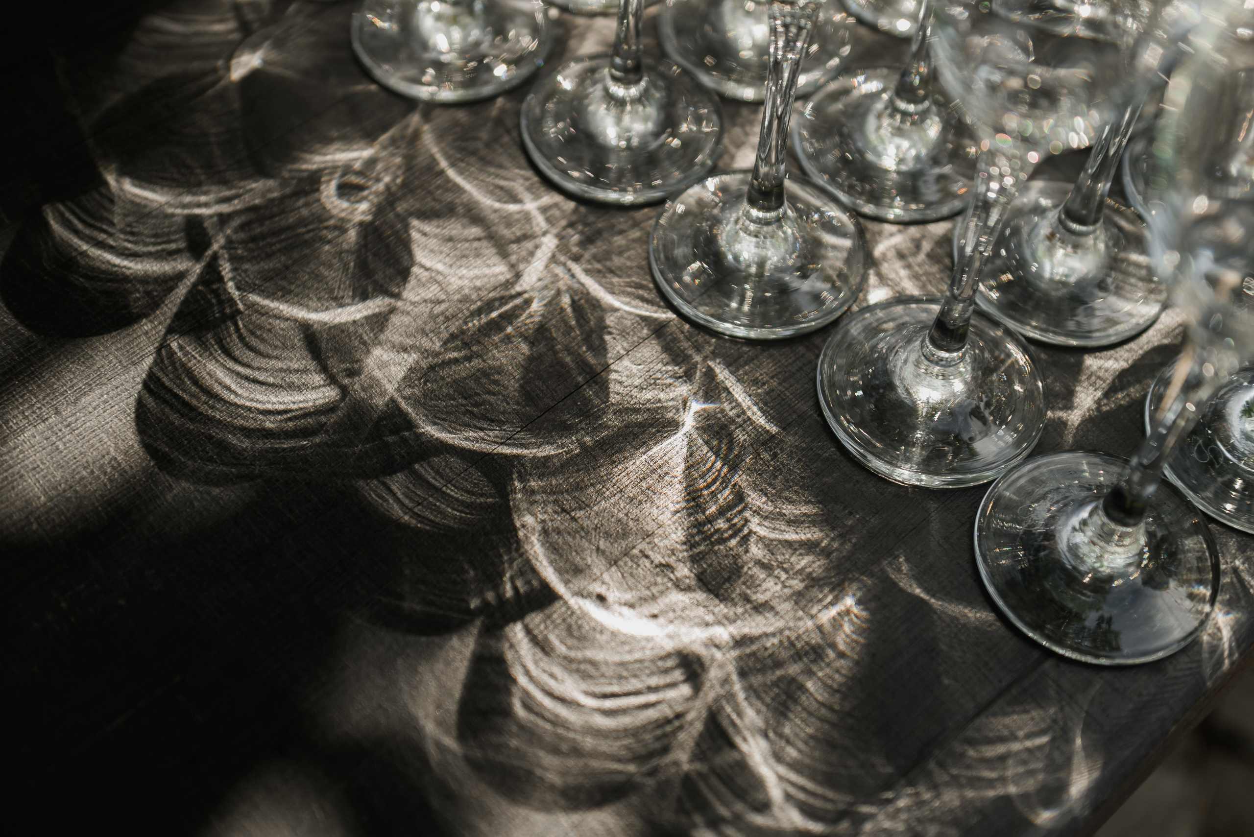 Олег и Алёна. Фотограф Филякин Константин