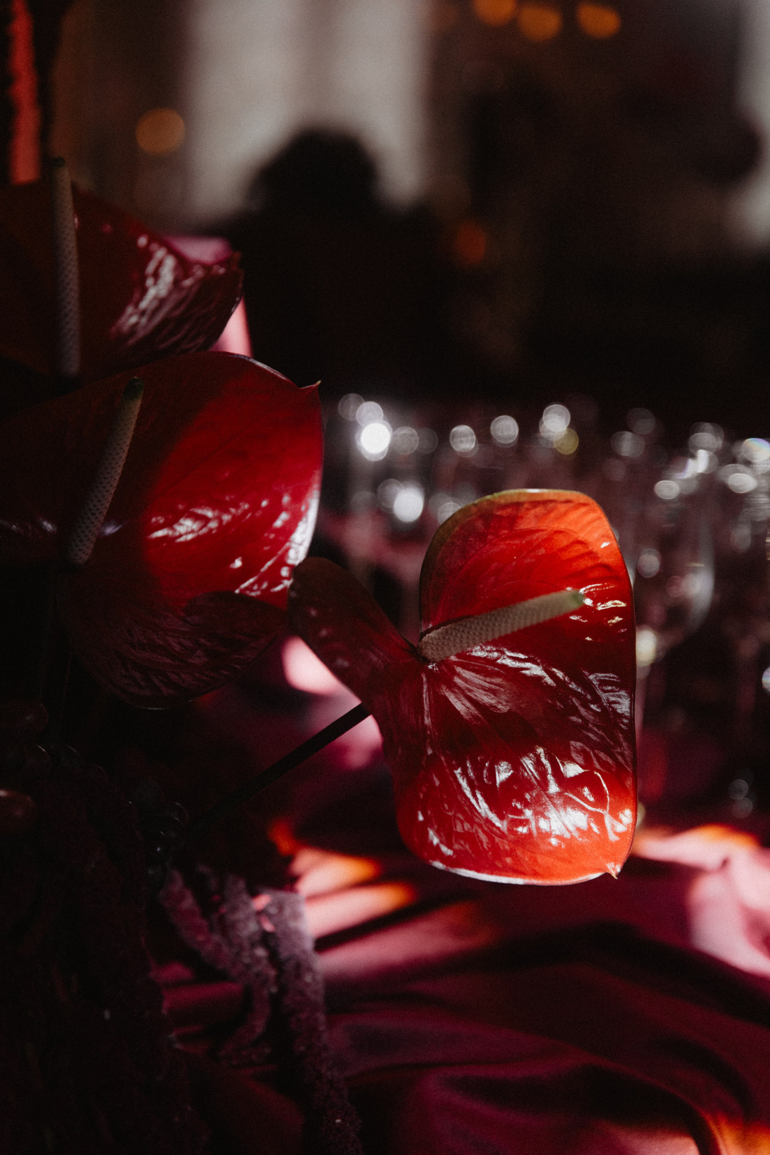 Свадьба во дворце. Фотограф Муратова Алена