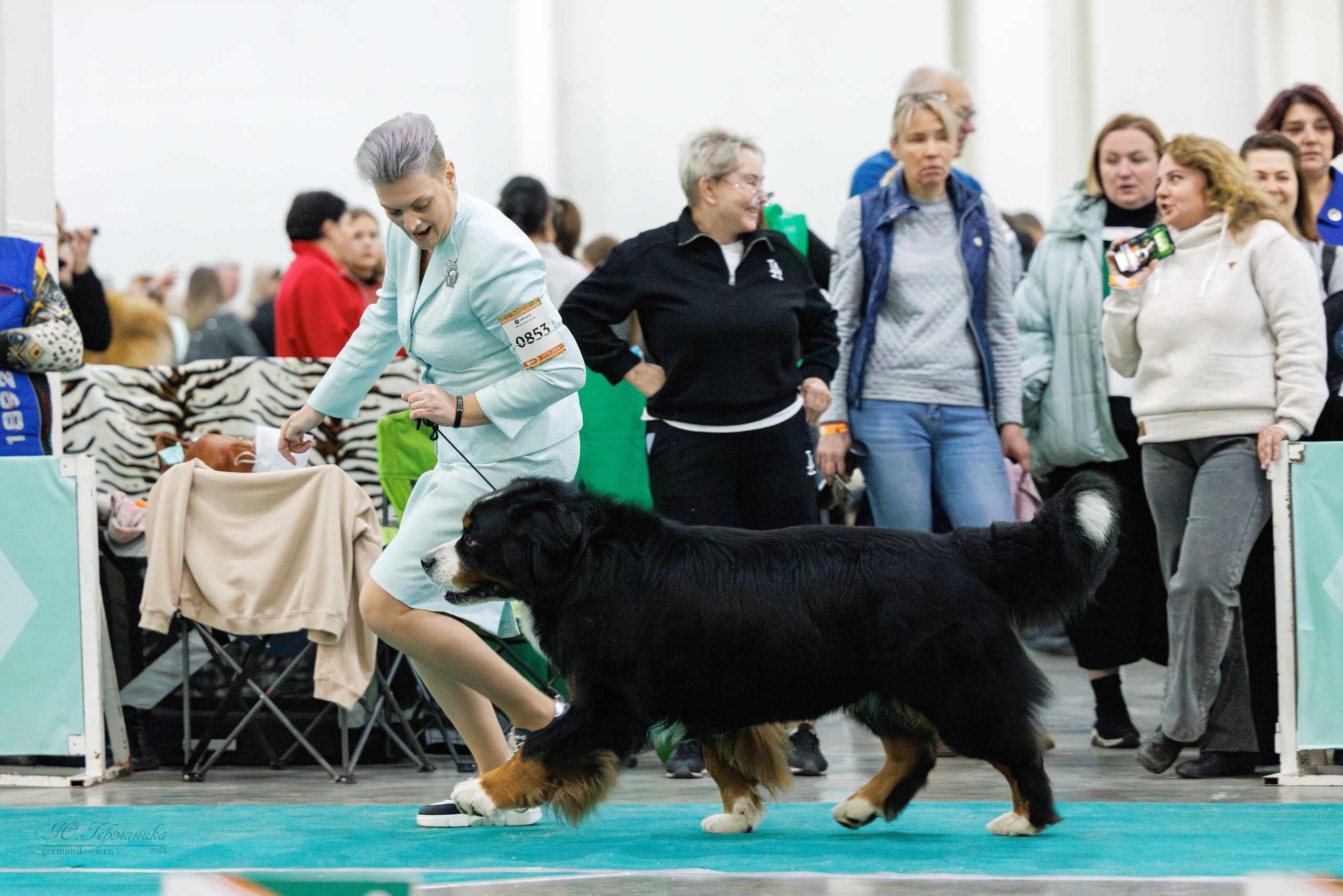 Евразия 16-17.11.2024. Фотограф-анималист Юлия Германика