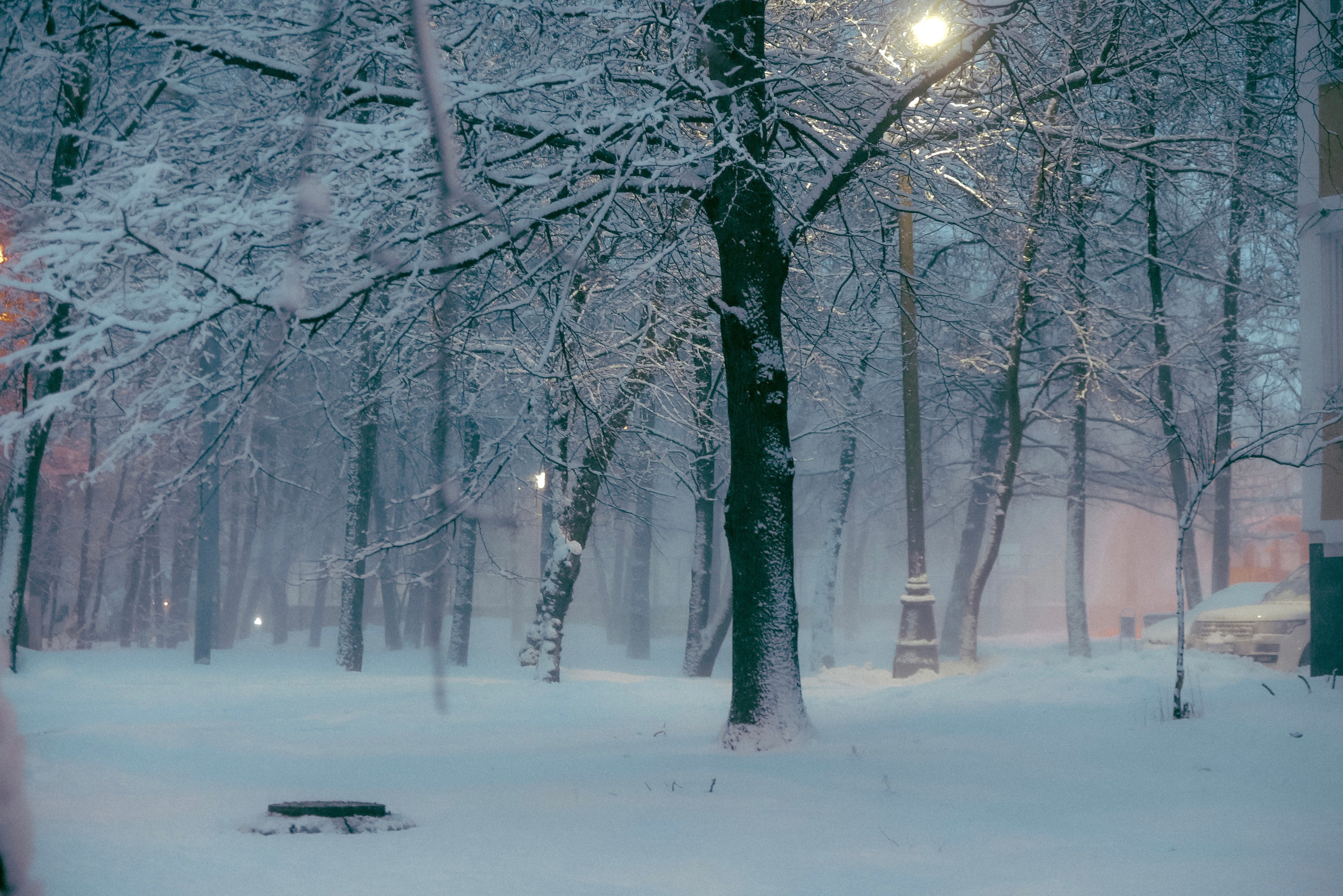 Фотограф Москва