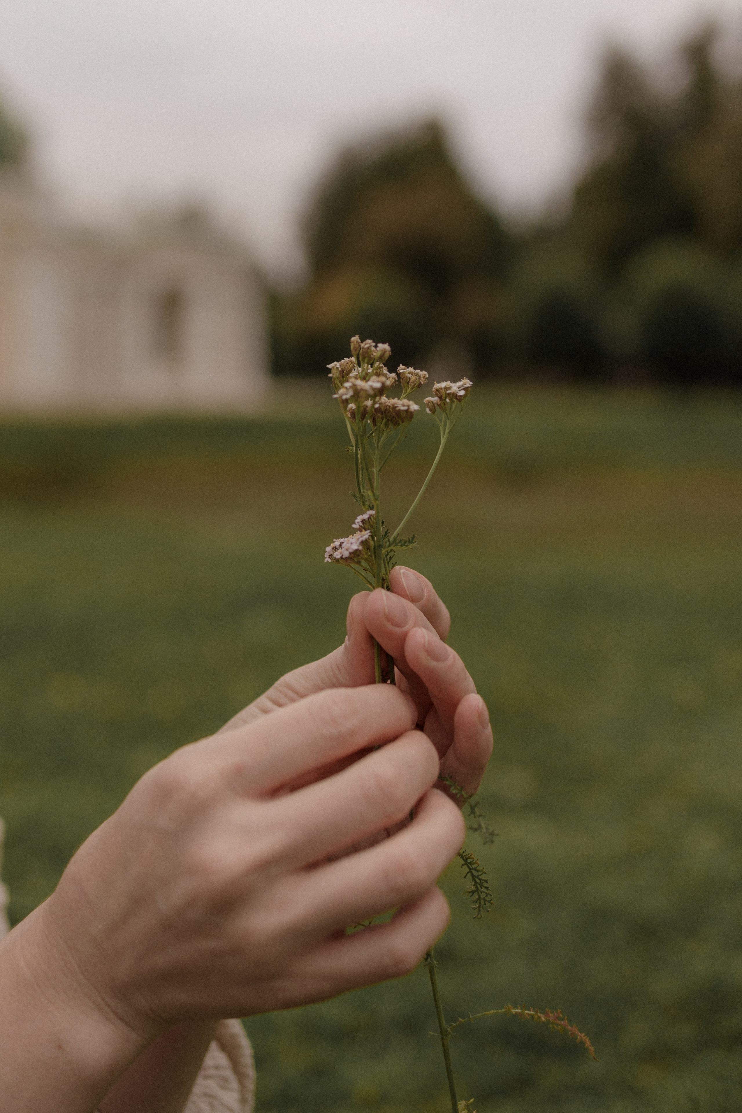 Этот особенный День. Марина Мужиченкова. Семейная и детская фотосъёмка в Москве