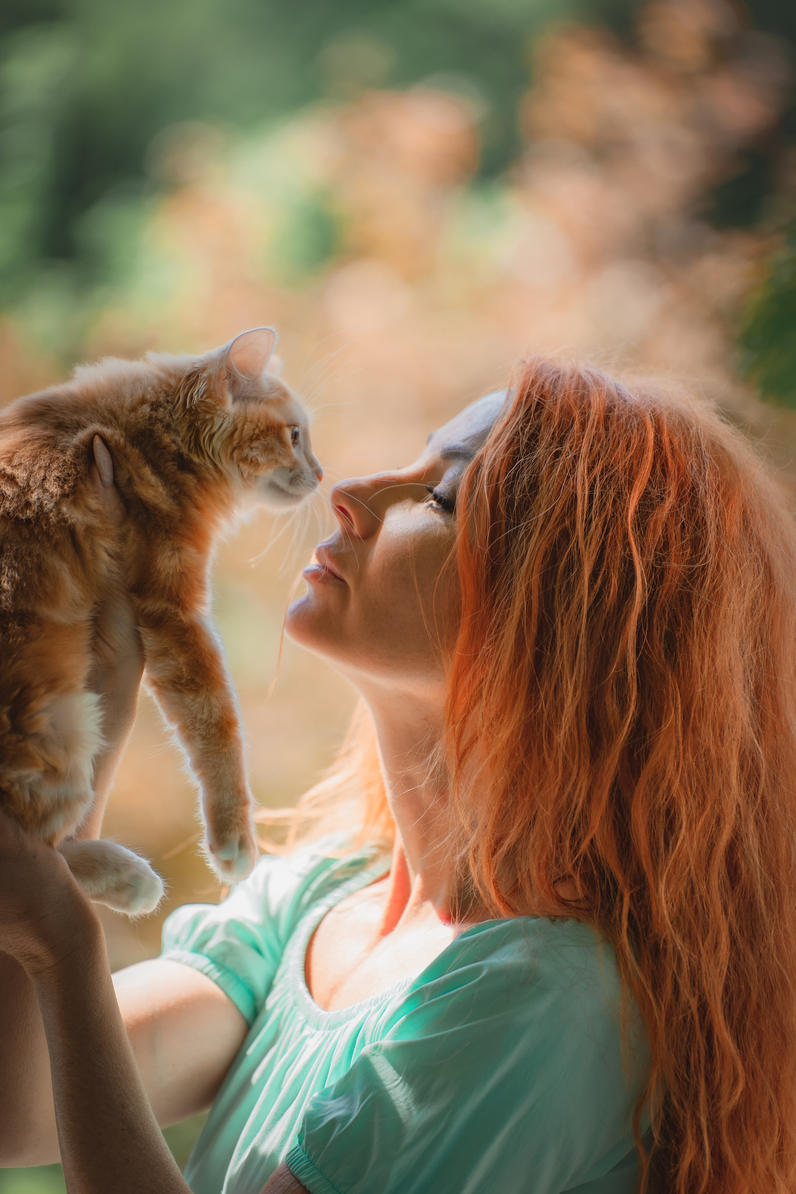 Питомник Курильских бобтейлов. Фотограф в Москве Ленарская Дарья