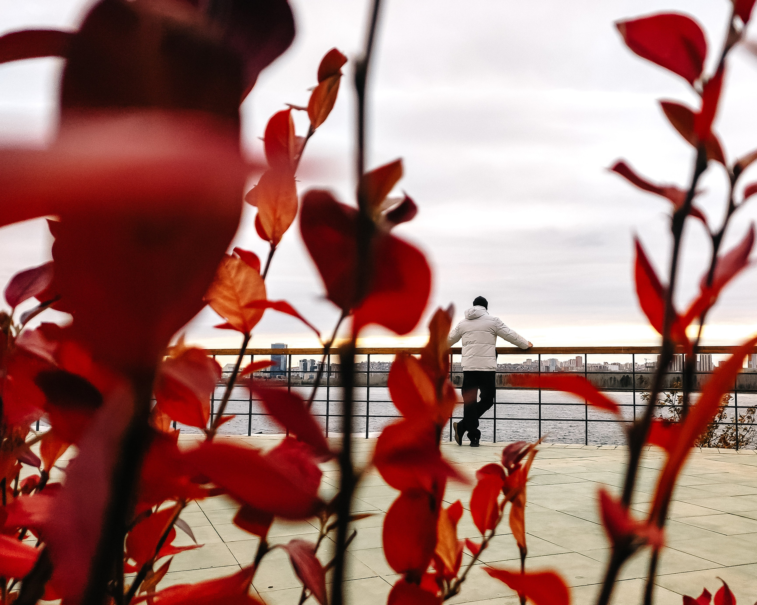 Максим. Фотограф Регина Крикунова г. Красноярск