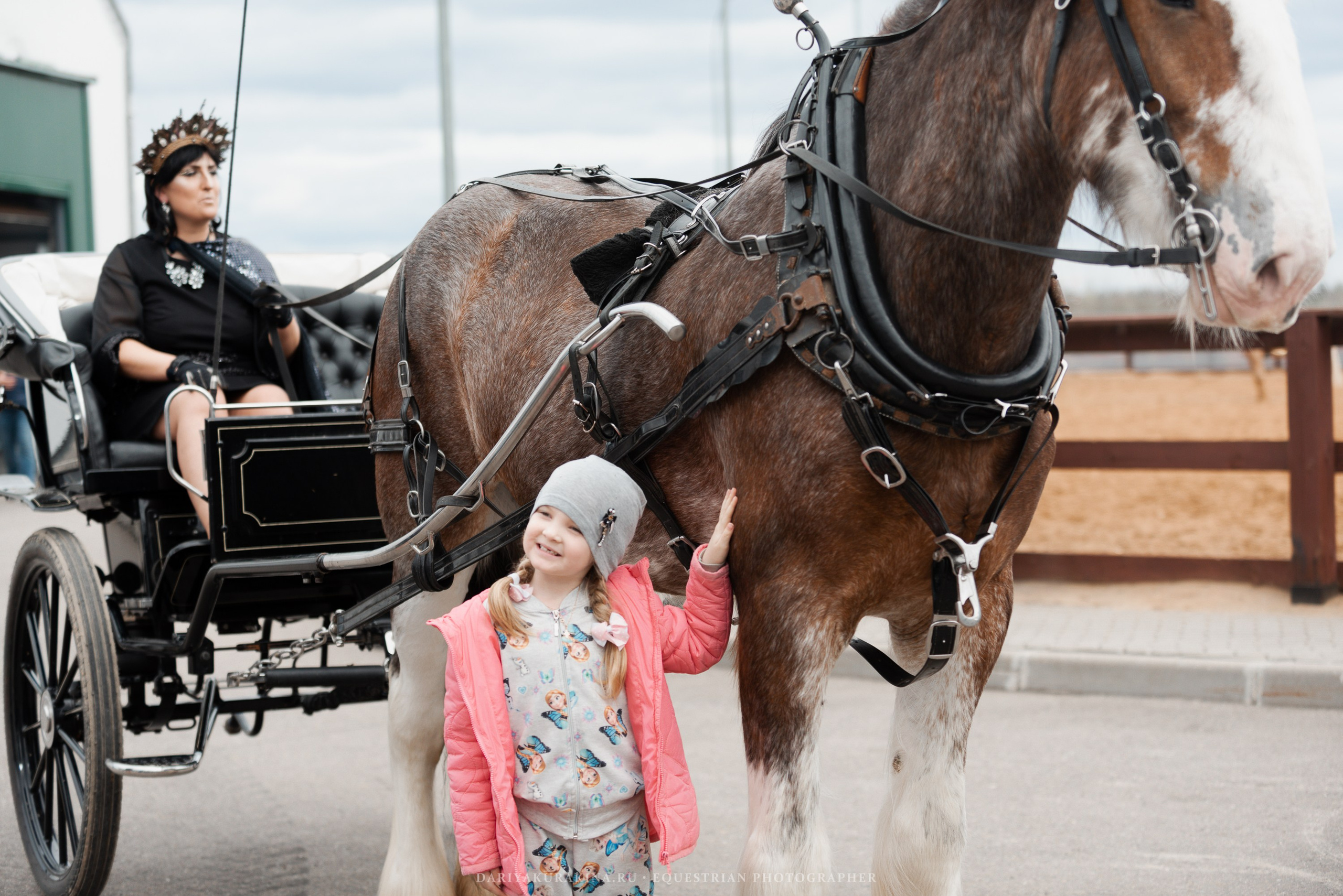 Конное представление «Дыхание Звёзд». Конный фотограф Куракина Дарья • Фотосессии с лошадьми