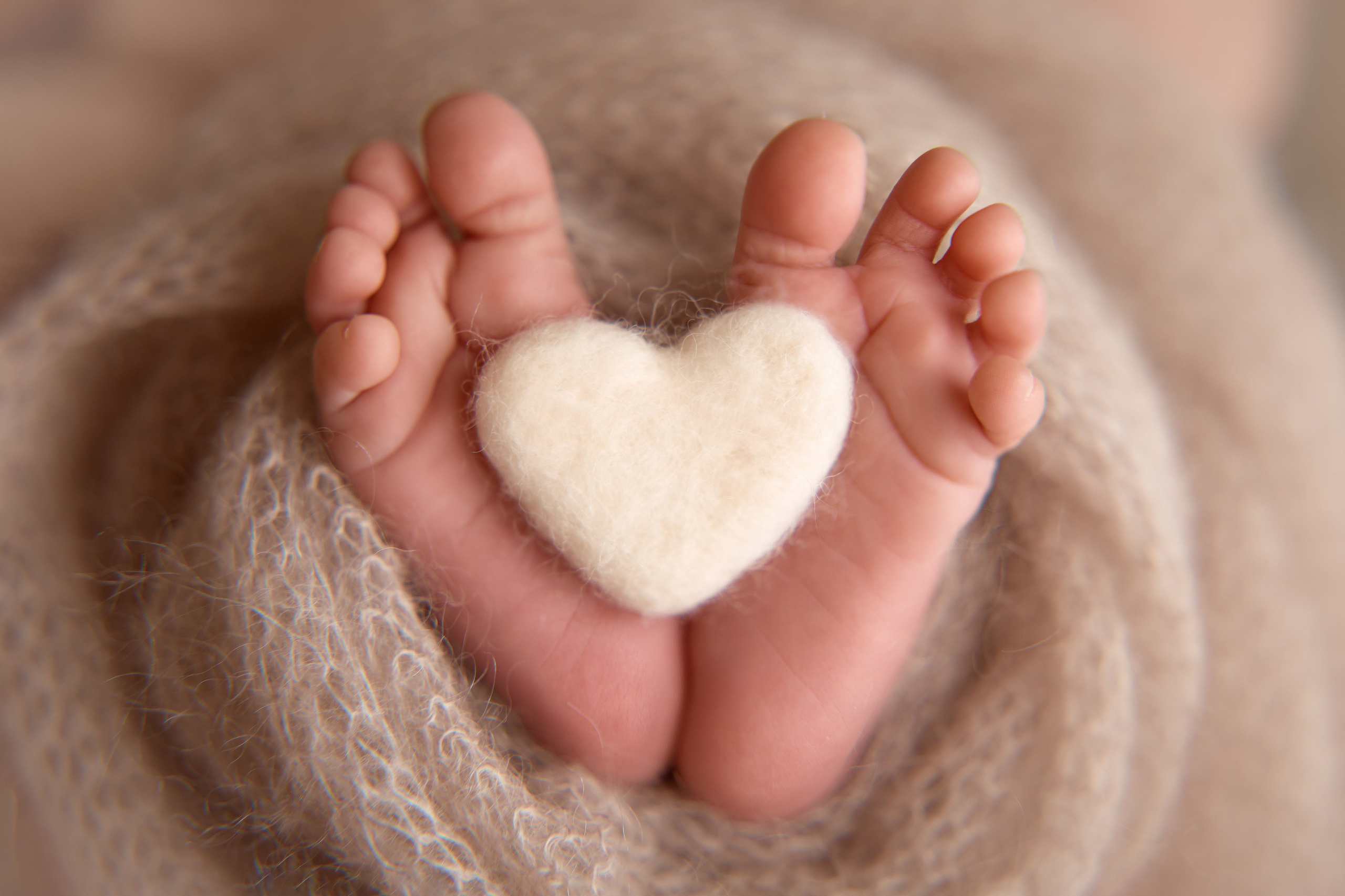 Тариф ПРЕМИУМ. Профессиональный фотограф новорождённых в Москве Елена Сатюкова