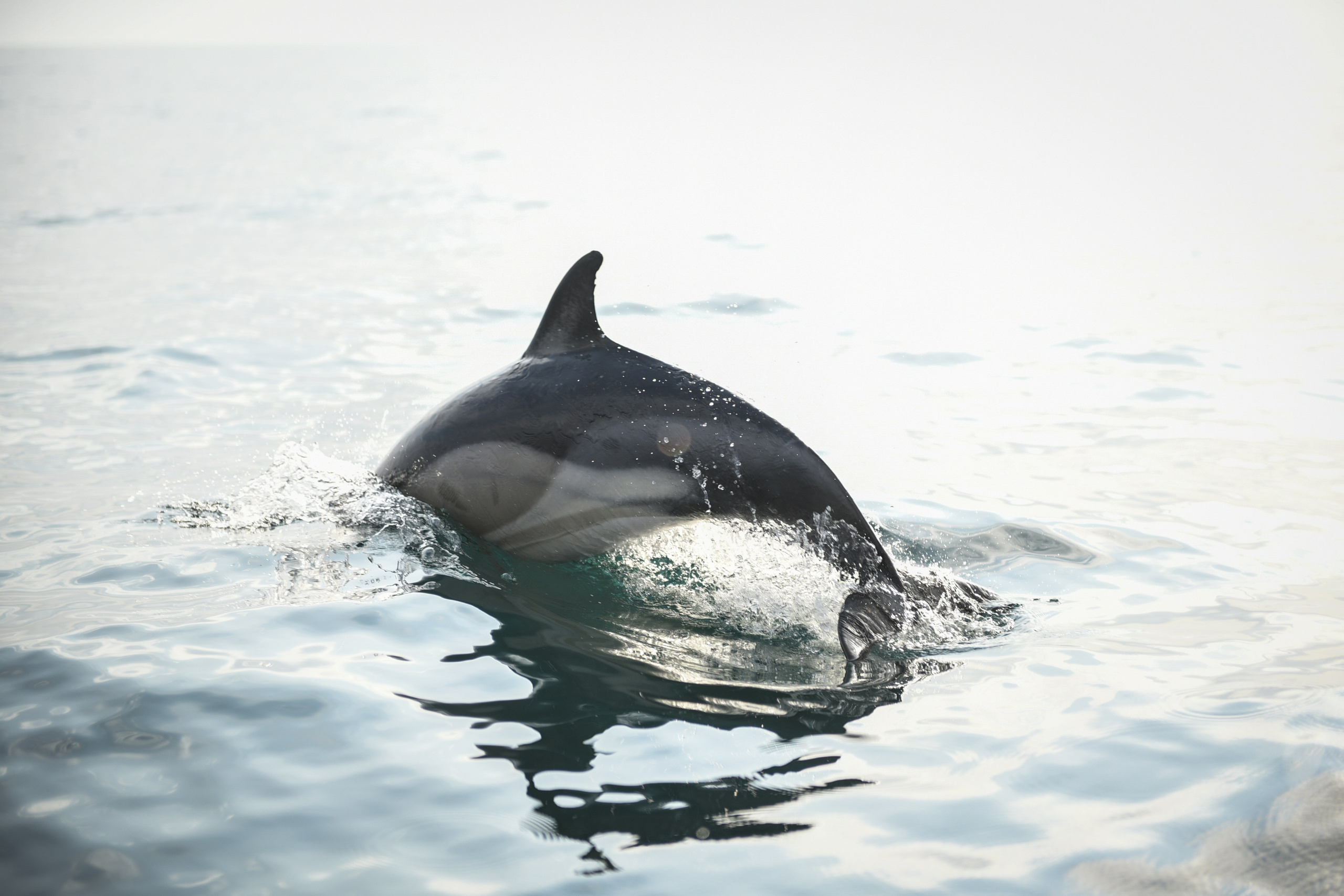 Wild and free. Anastasia Serdyuk, travel photographer, travel photo, portraits, stories, fineart prints