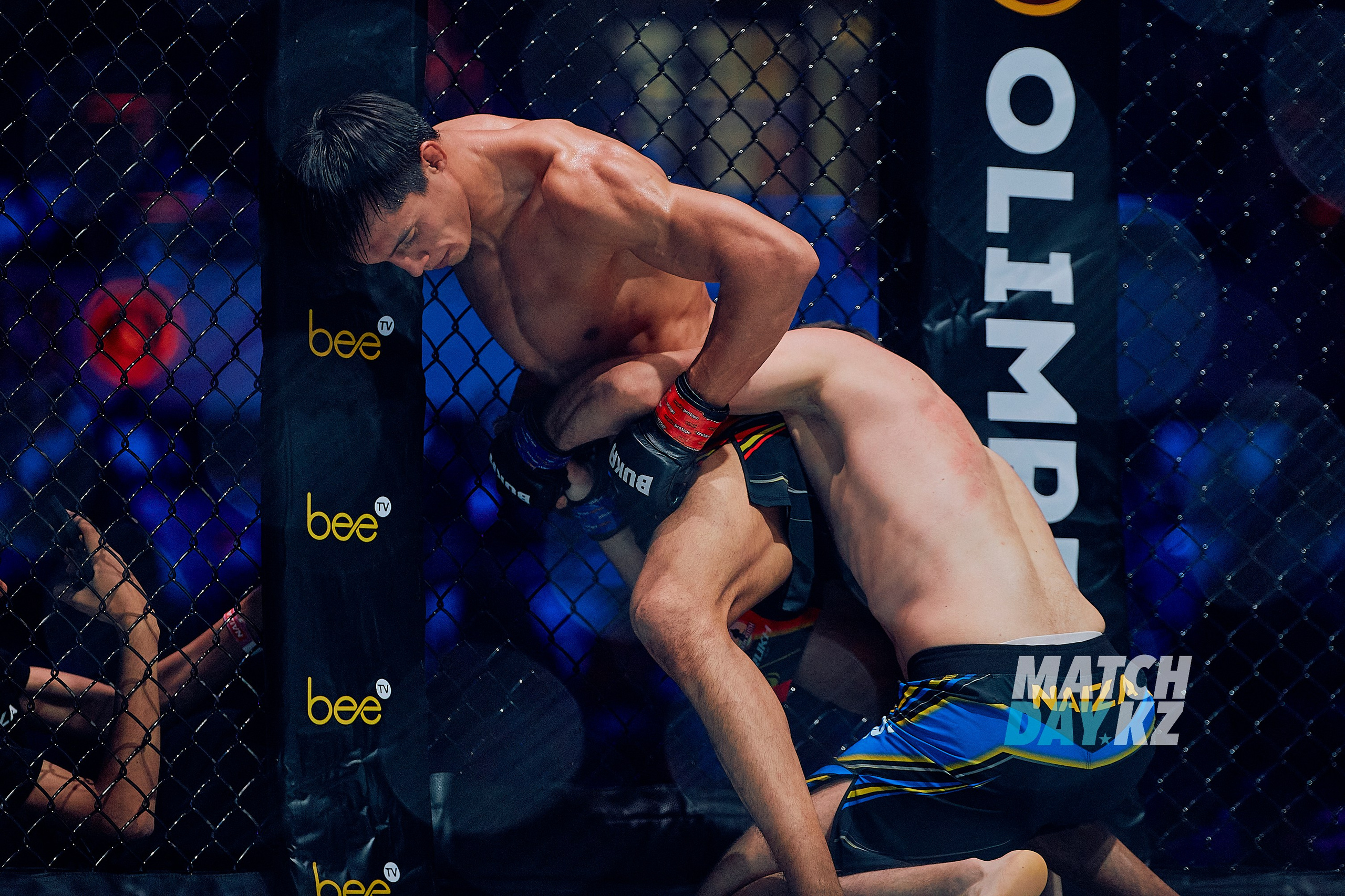 Naiza MMA (Astana) 6 December 2023. Professional photo & Event agency (Kazakhstan, Astana)