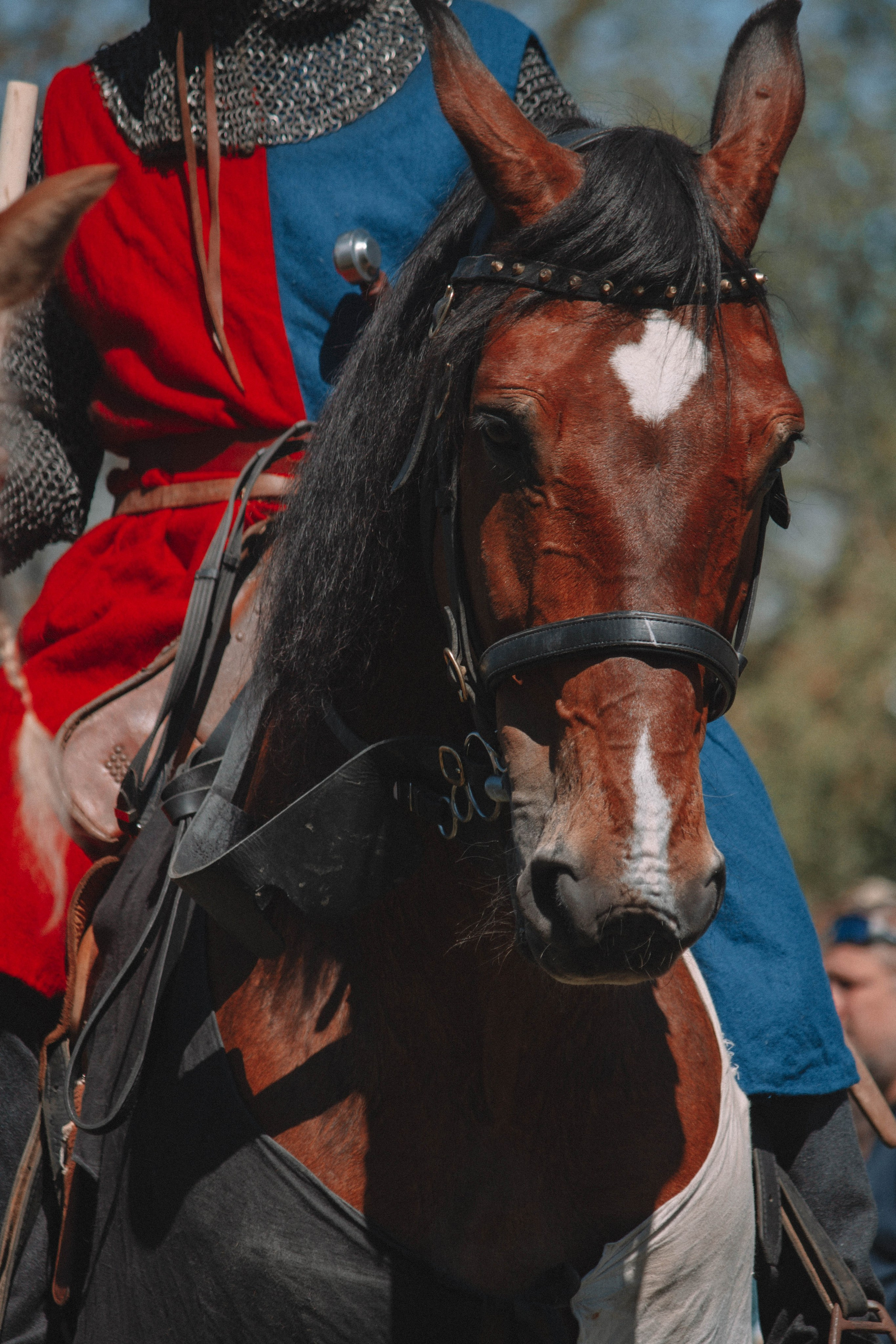 СТАРАЯ ЛАДОГА — Историко-культурный фестиваль. Создадим шедевр? Виталина и её фотоискусство