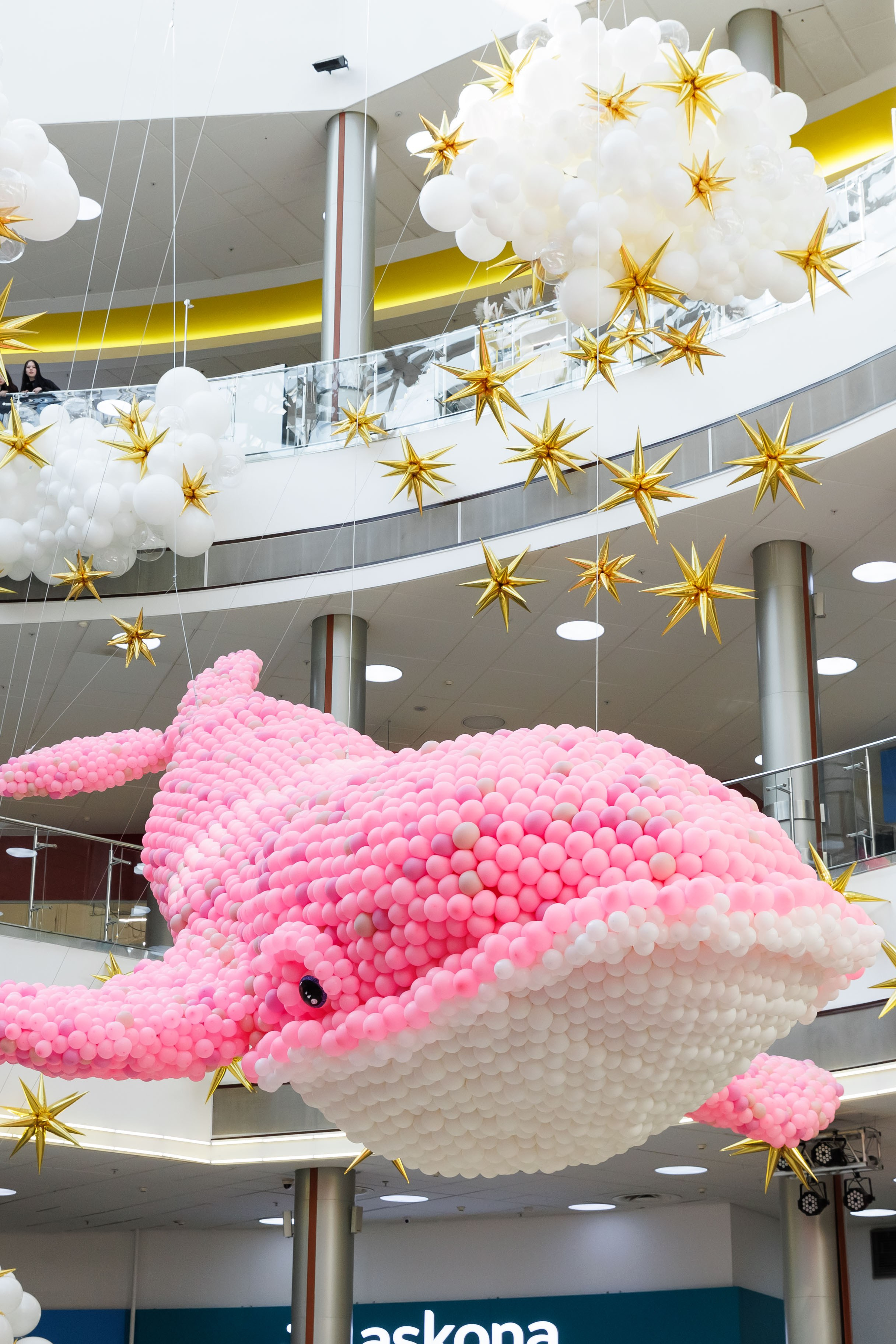 Умная весна 2025. Фотограф Новосибирск — Наталья Гресь