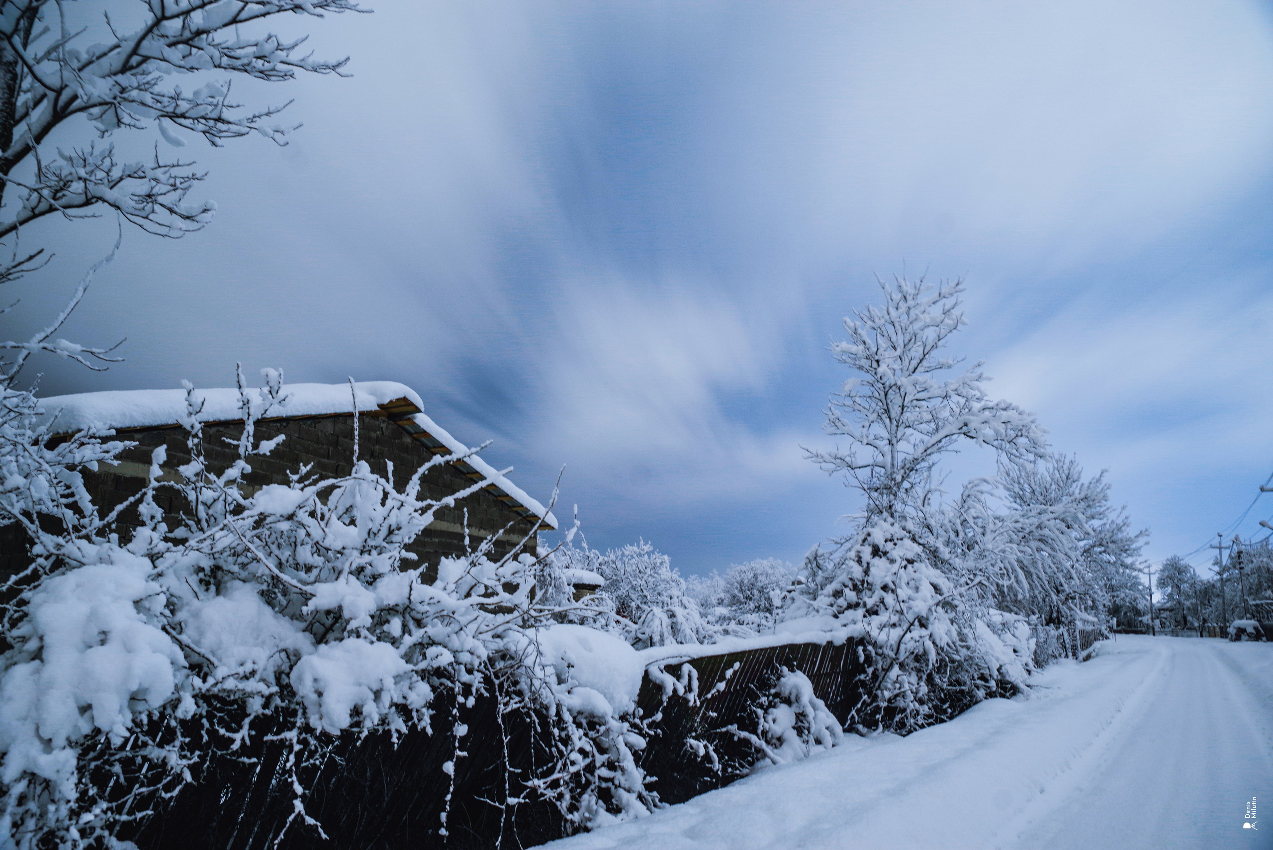 Спящий Менджи зимой. Портретный фотограф Денис Милютин