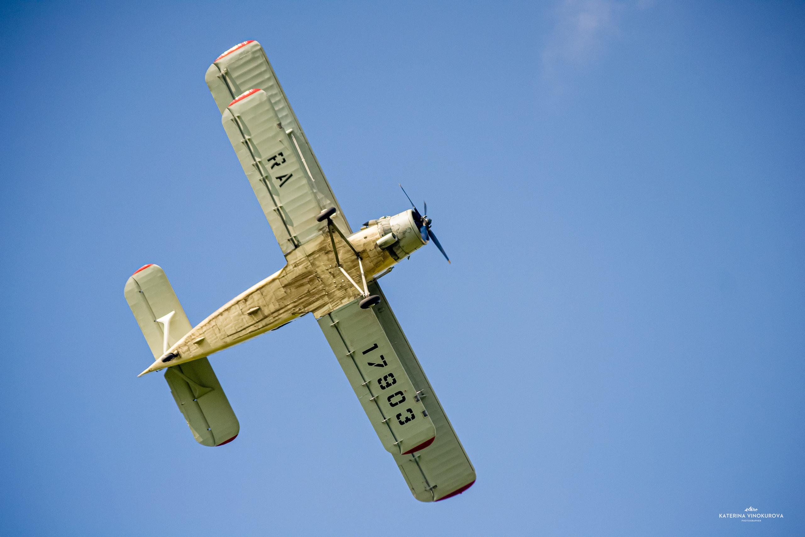 Крылья Пармы 2024 г. KATERINA VINOKUROVA ФОТОГРАФ ПЕРМЬ