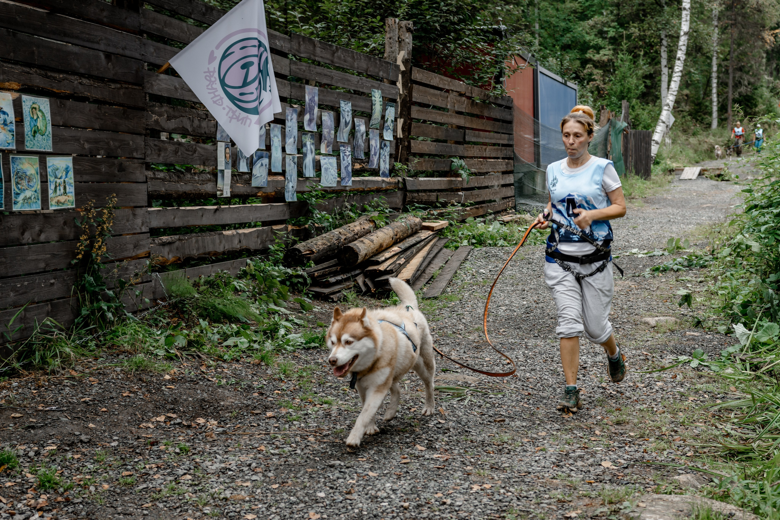 Дог-треккинг