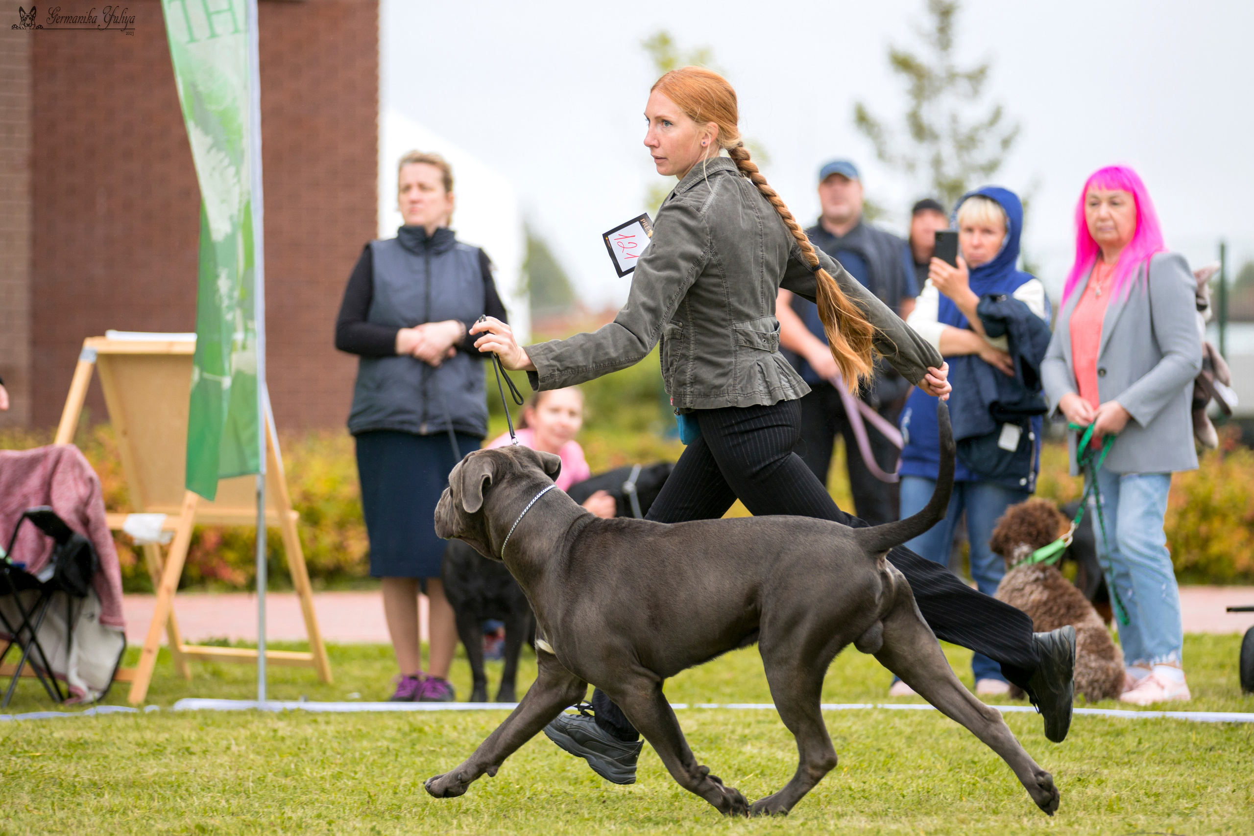 Переславль 9-10.09.2023. Фотограф-анималист Юлия Германика