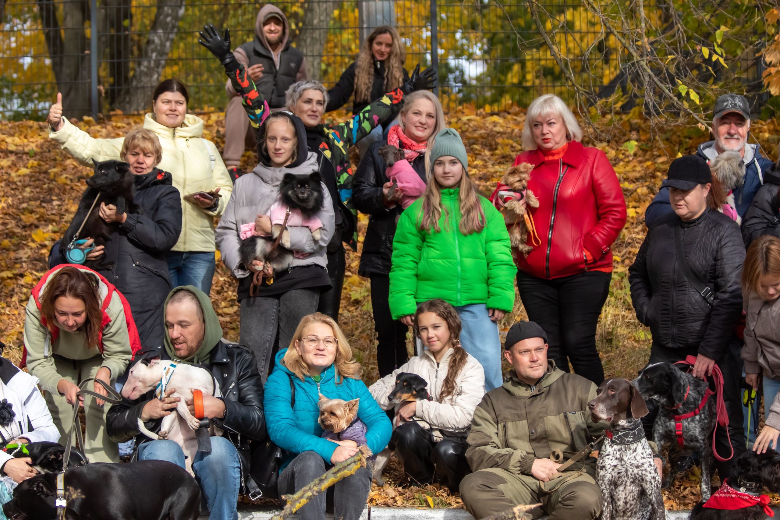 Костюмированный парад собак. Фотограф анималист — Тула, Москва