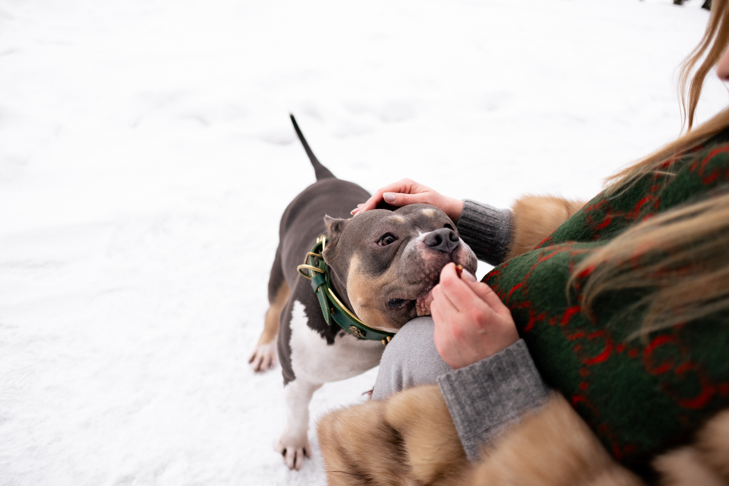 Лера и Наган. Фотограф и видеограф анималист Аганина Дарья