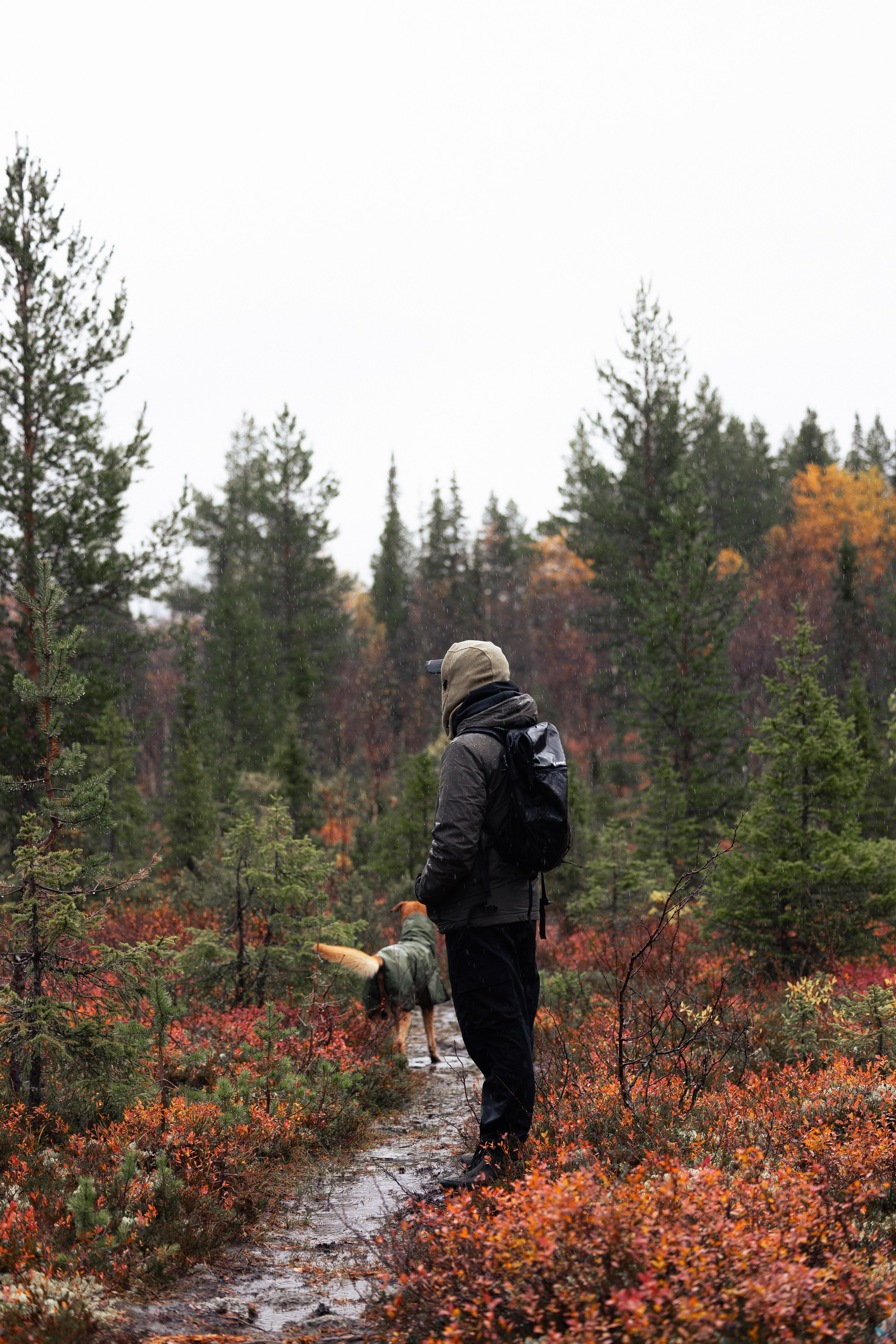 Кольский. Фотограф и видеограф анималист Аганина Дарья