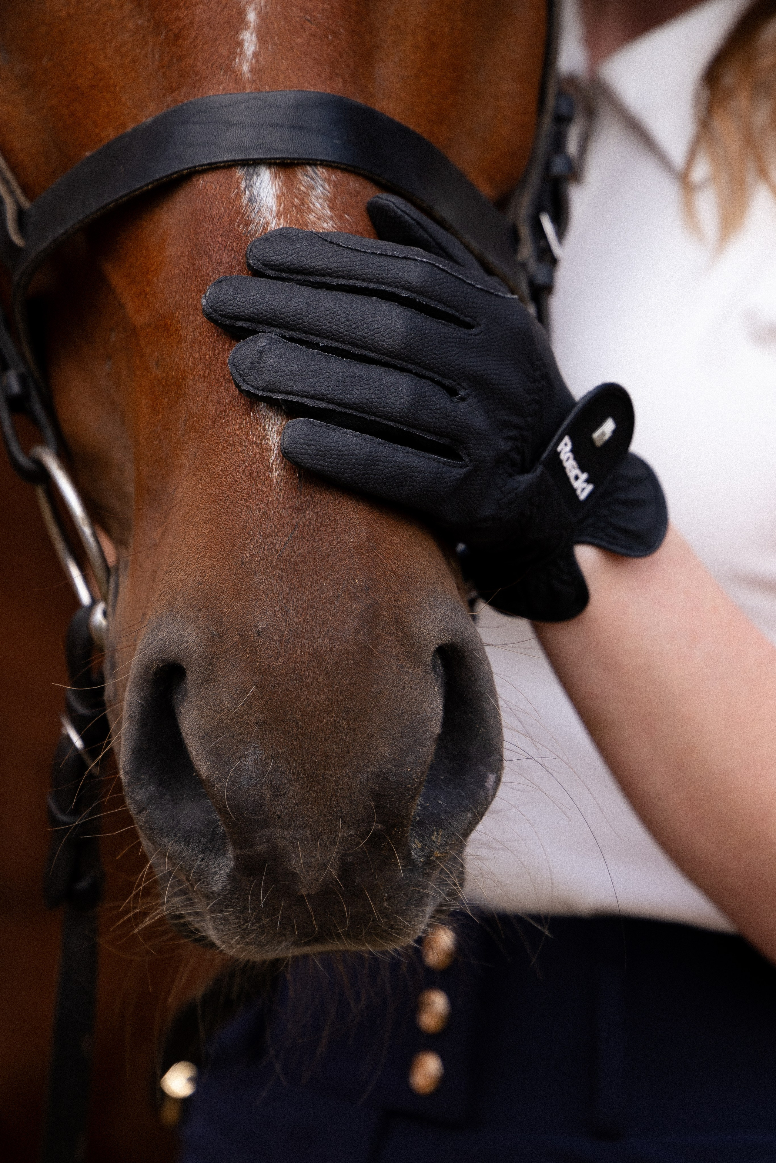 Мария и Реванш. Фотограф и видеограф анималист Аганина Дарья