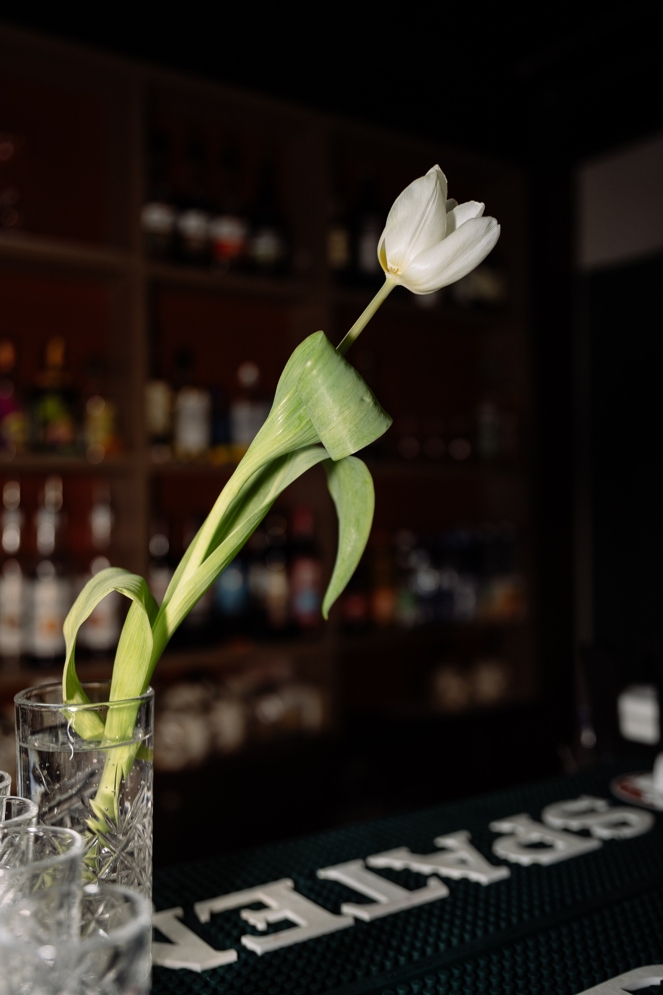 Вечеринка в кафе Sinlun. Фотограф Юлия Мальцева