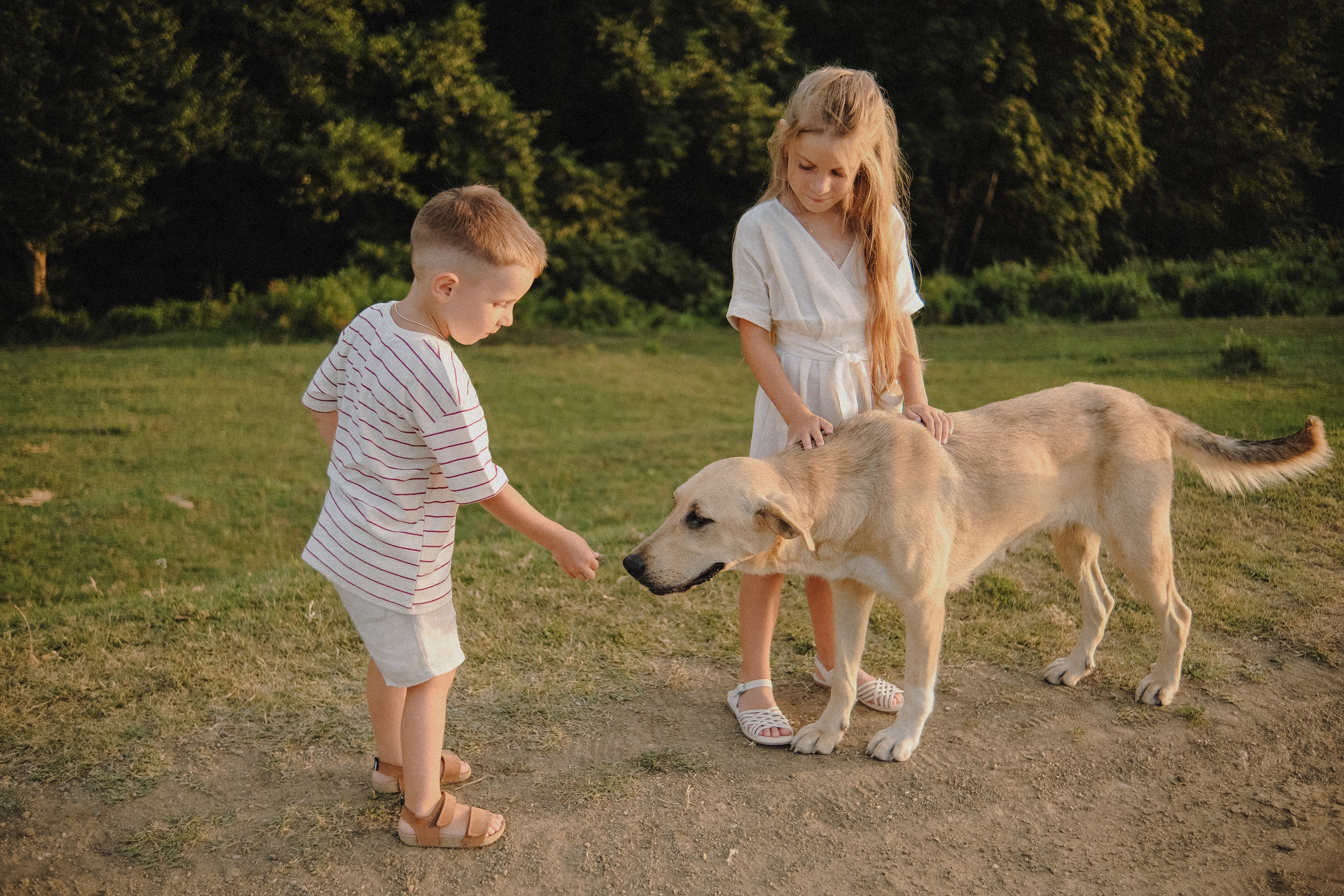 Семья Киры и Максима. Семейный фотограф Москва