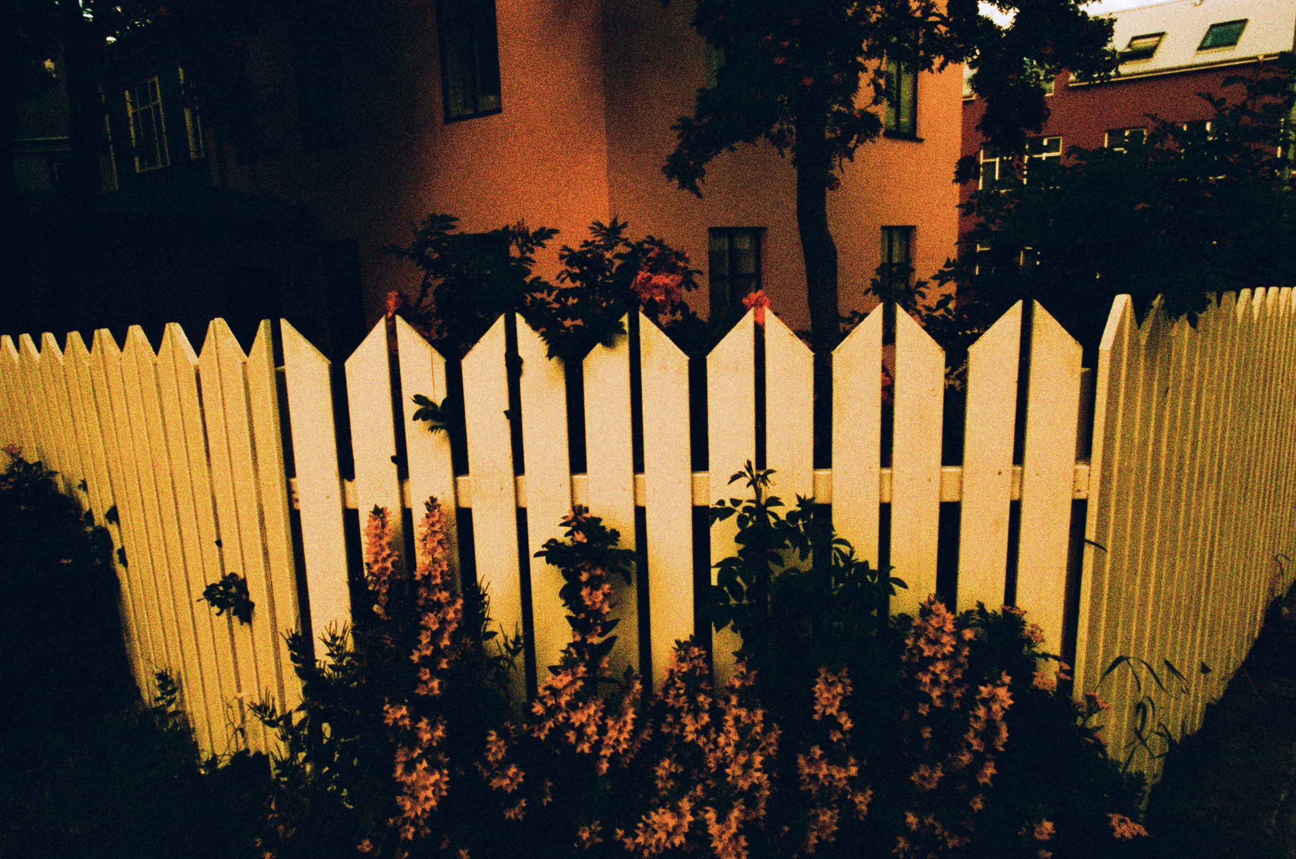 Run no more // iceland, reykjavik II. EVER EXPOSED