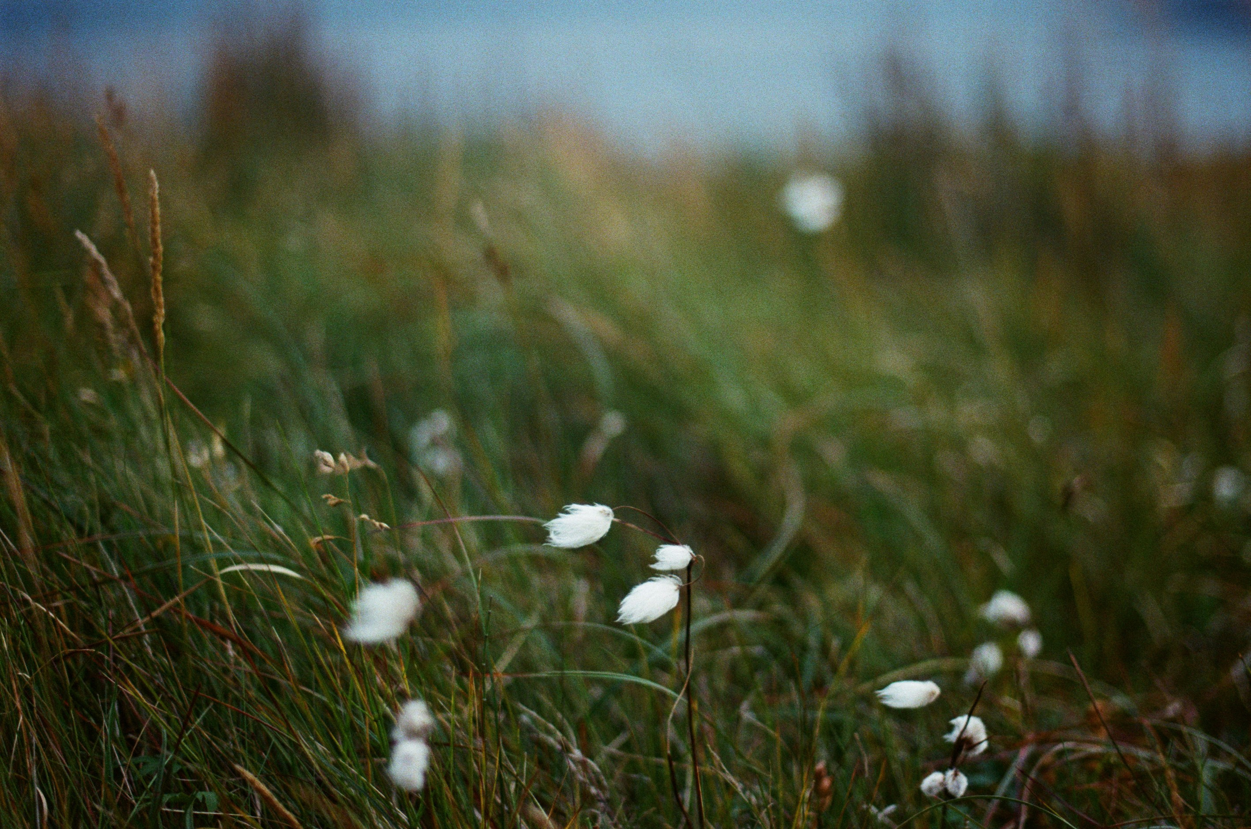 Unravelling // iceland, 917 hlíðarvegur. EVER EXPOSED
