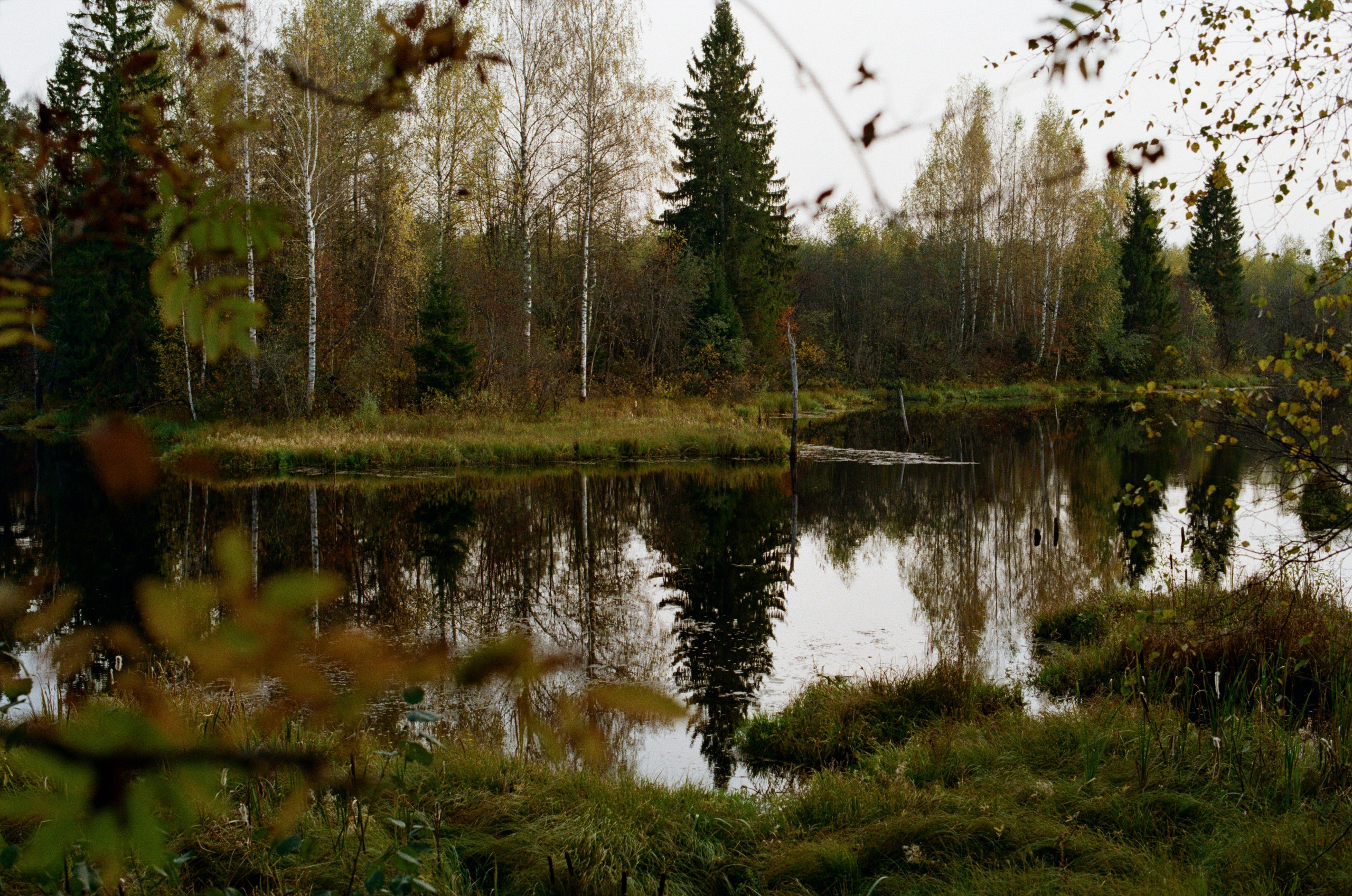 My name is dust // kostroma. EVER EXPOSED