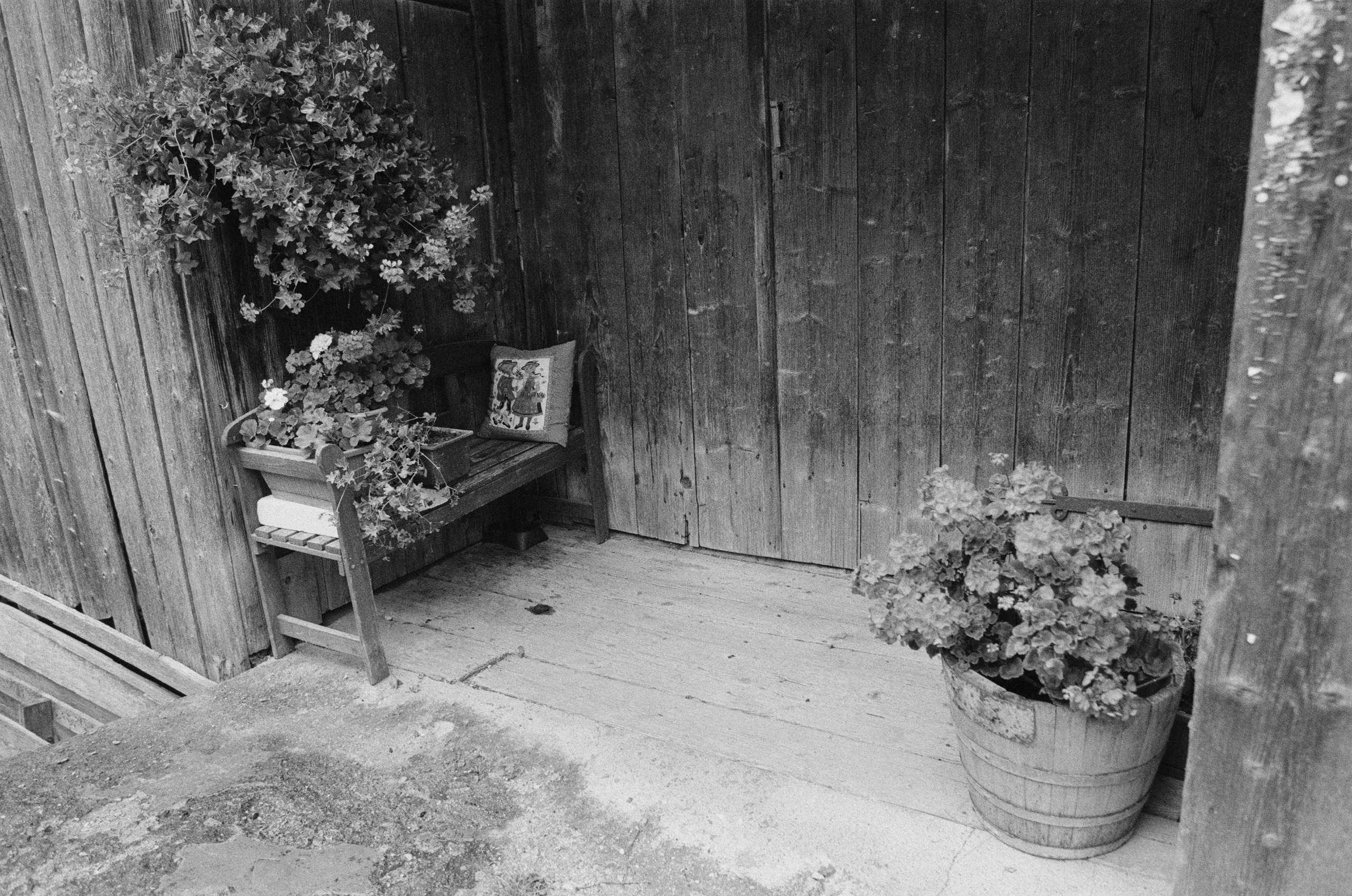 Are you coming // italy, rocca pietore. EVER EXPOSED