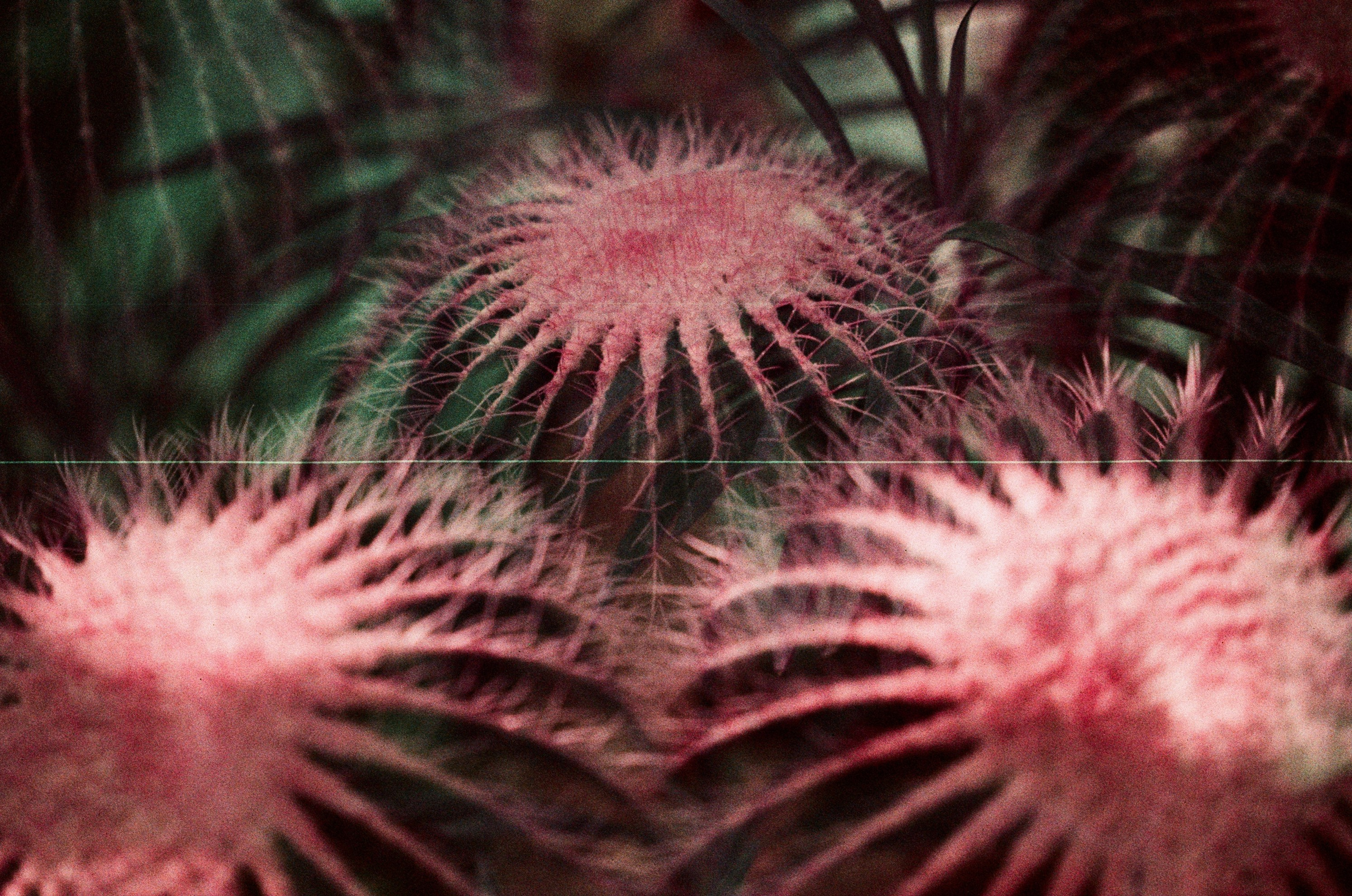 Pain shopping // ukraine, crimea II. EVER EXPOSED