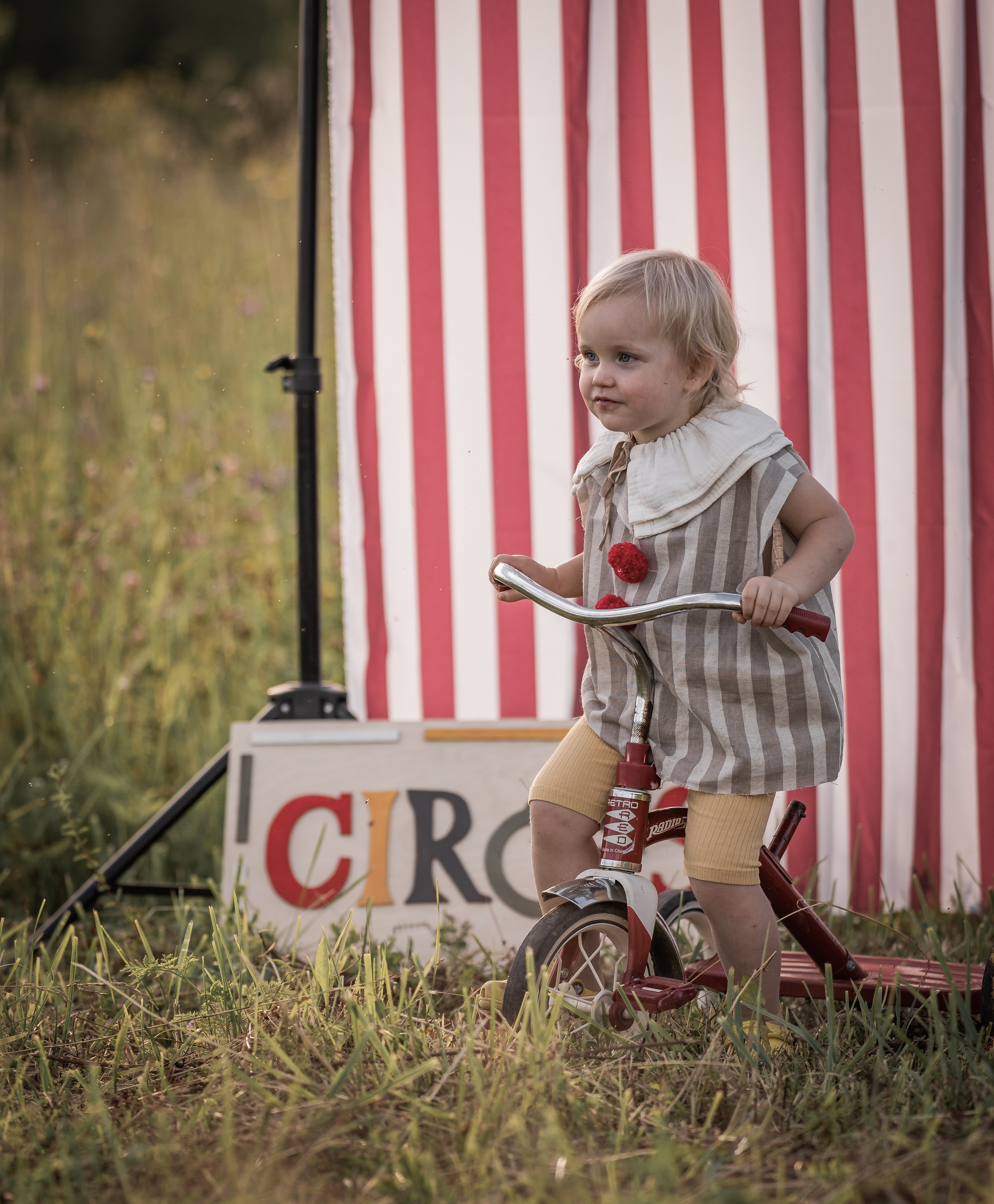 Цирк. Семейный фотограф Ефремова Виктория