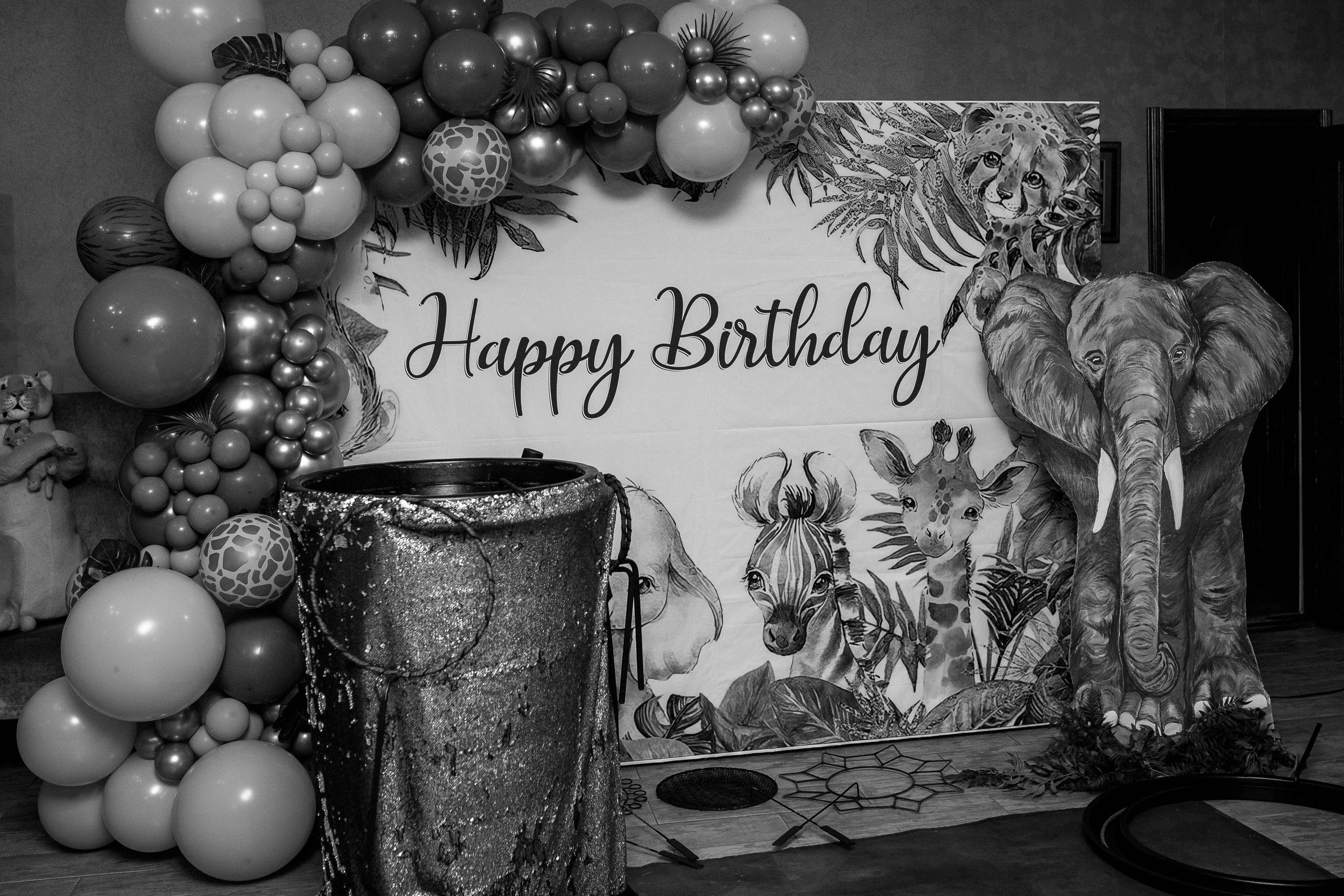 День рождения Данияра. Фотограф Сальск Катерина