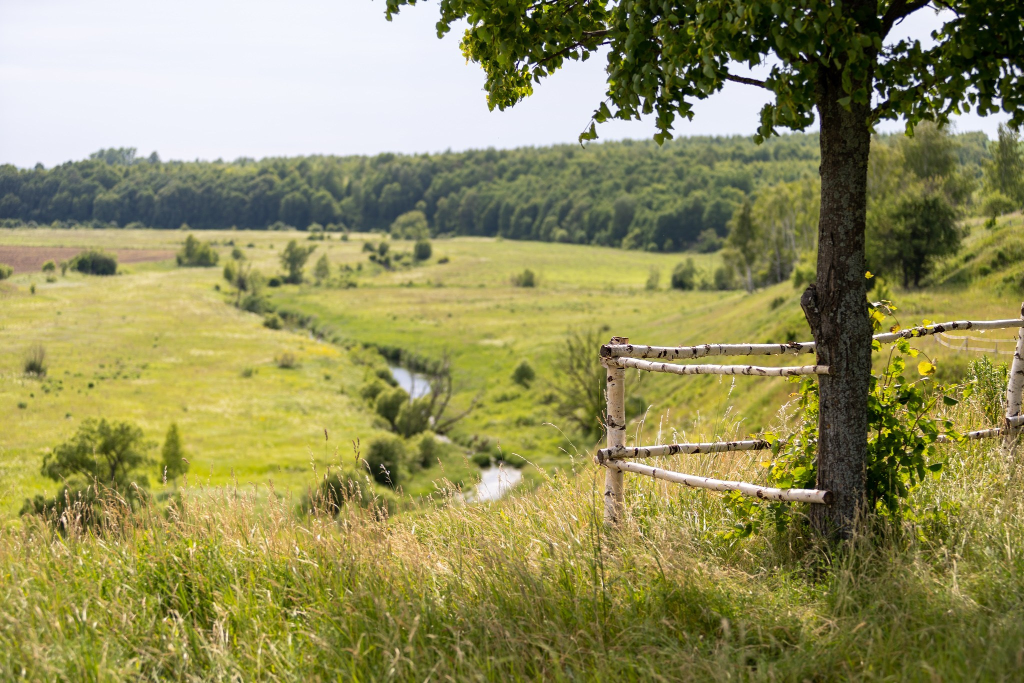КустАрт Бежен луг 2019. Фотограф Василий Буланов
